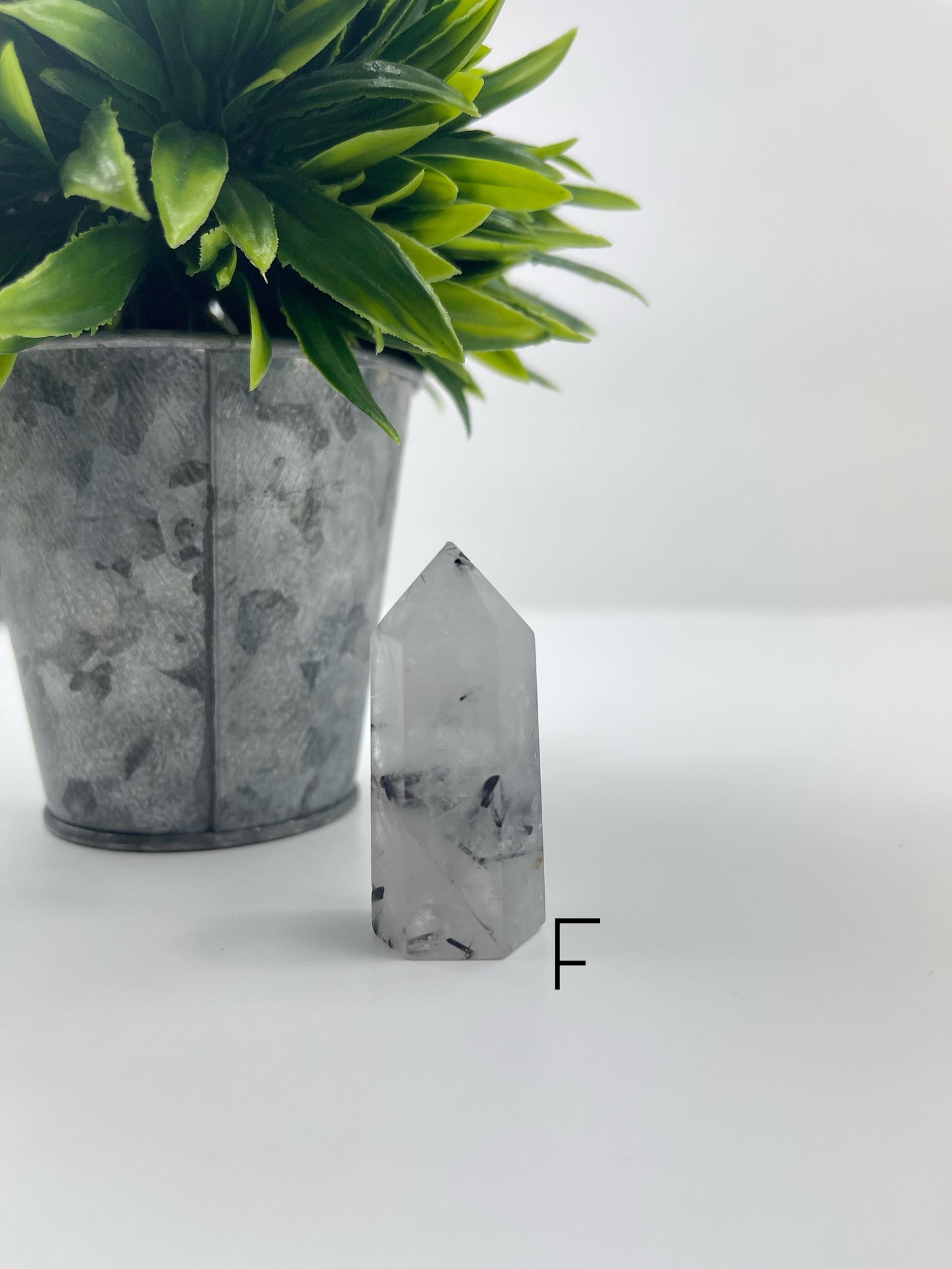 Black Tourmaline in Quartz Tower F