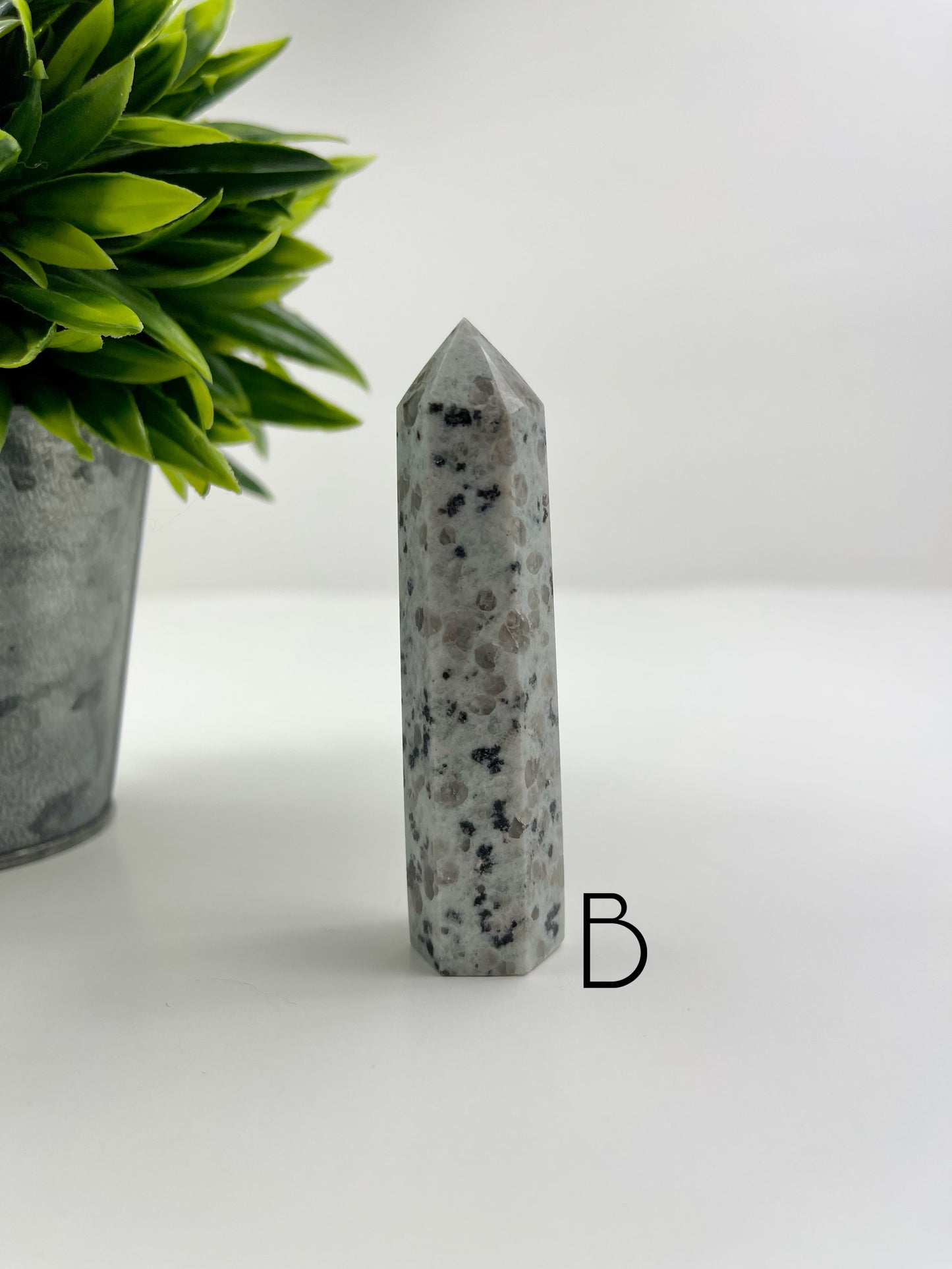 Kiwi Jasper Tower B