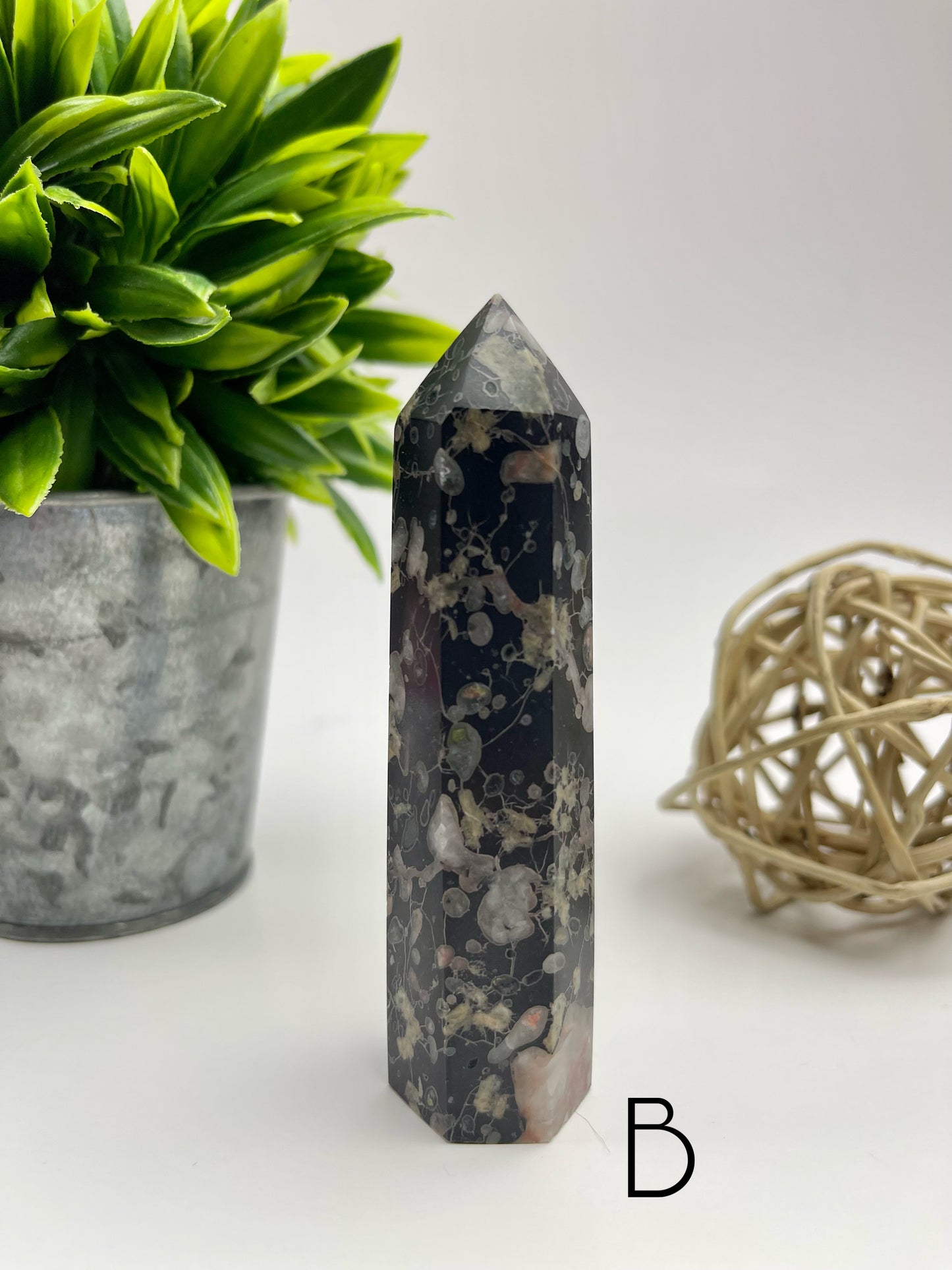 Plum Blossom Jade Tower B