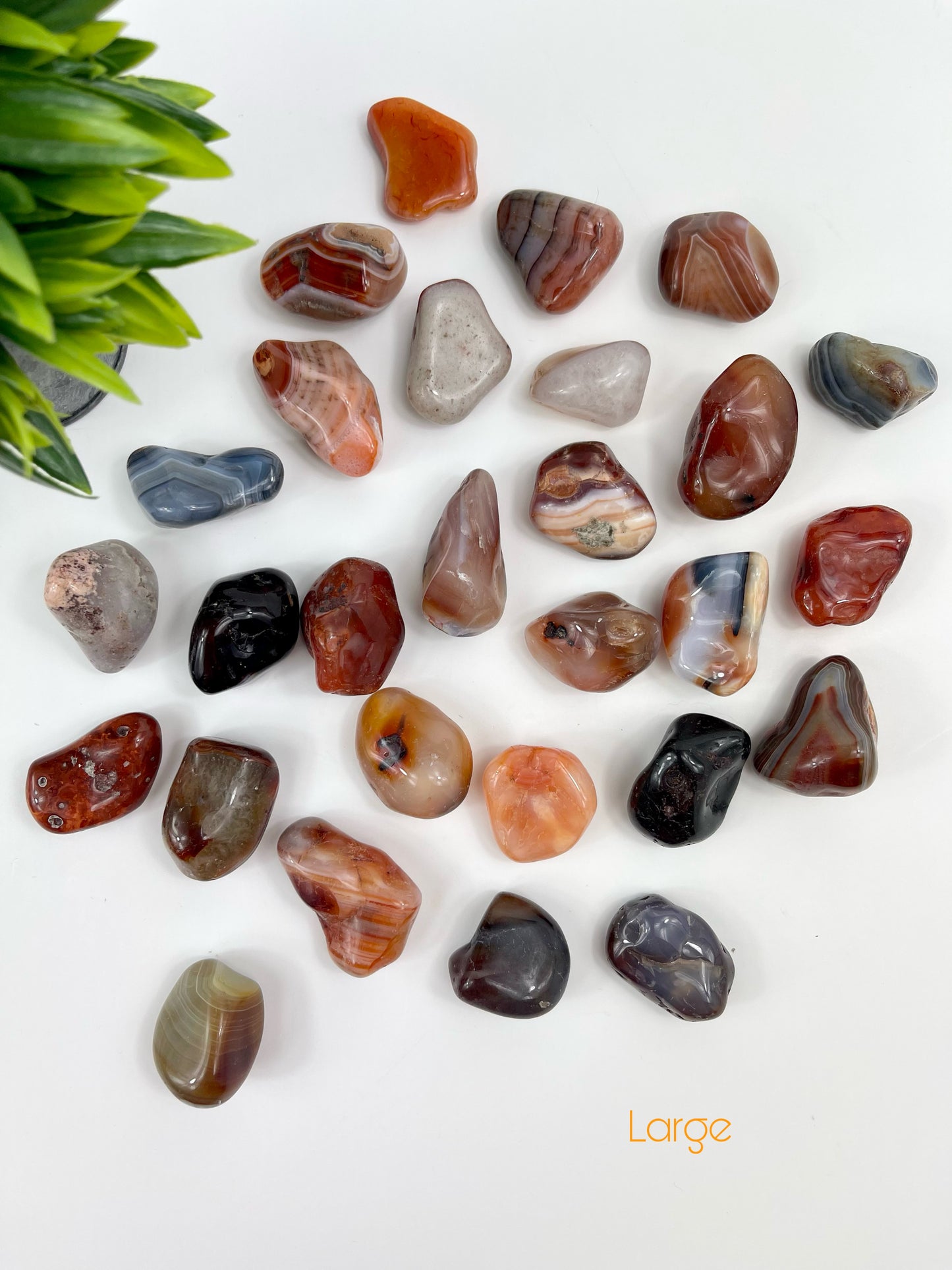 Large Carnelian Tumbles