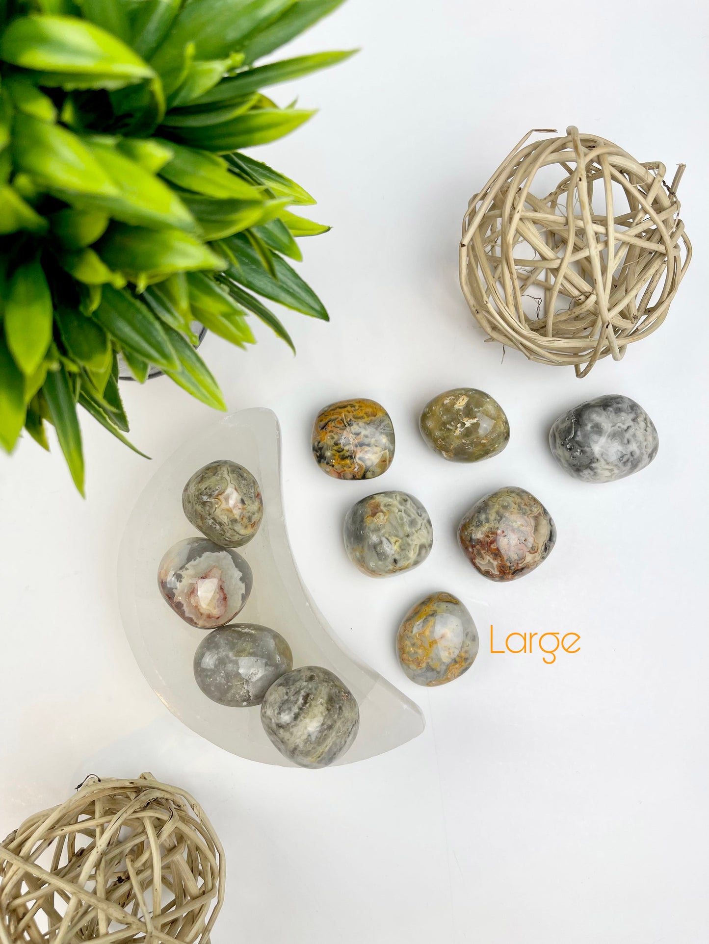 Crazy Lace Agate Large Tumbles