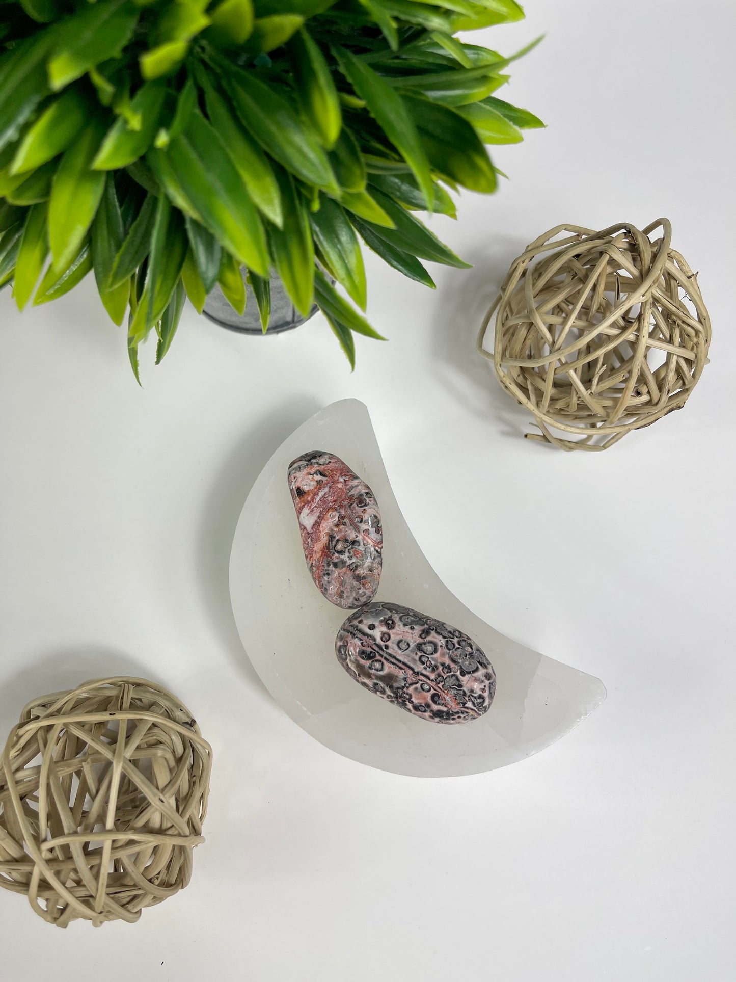 Large Leopardskin Jasper Tumbles