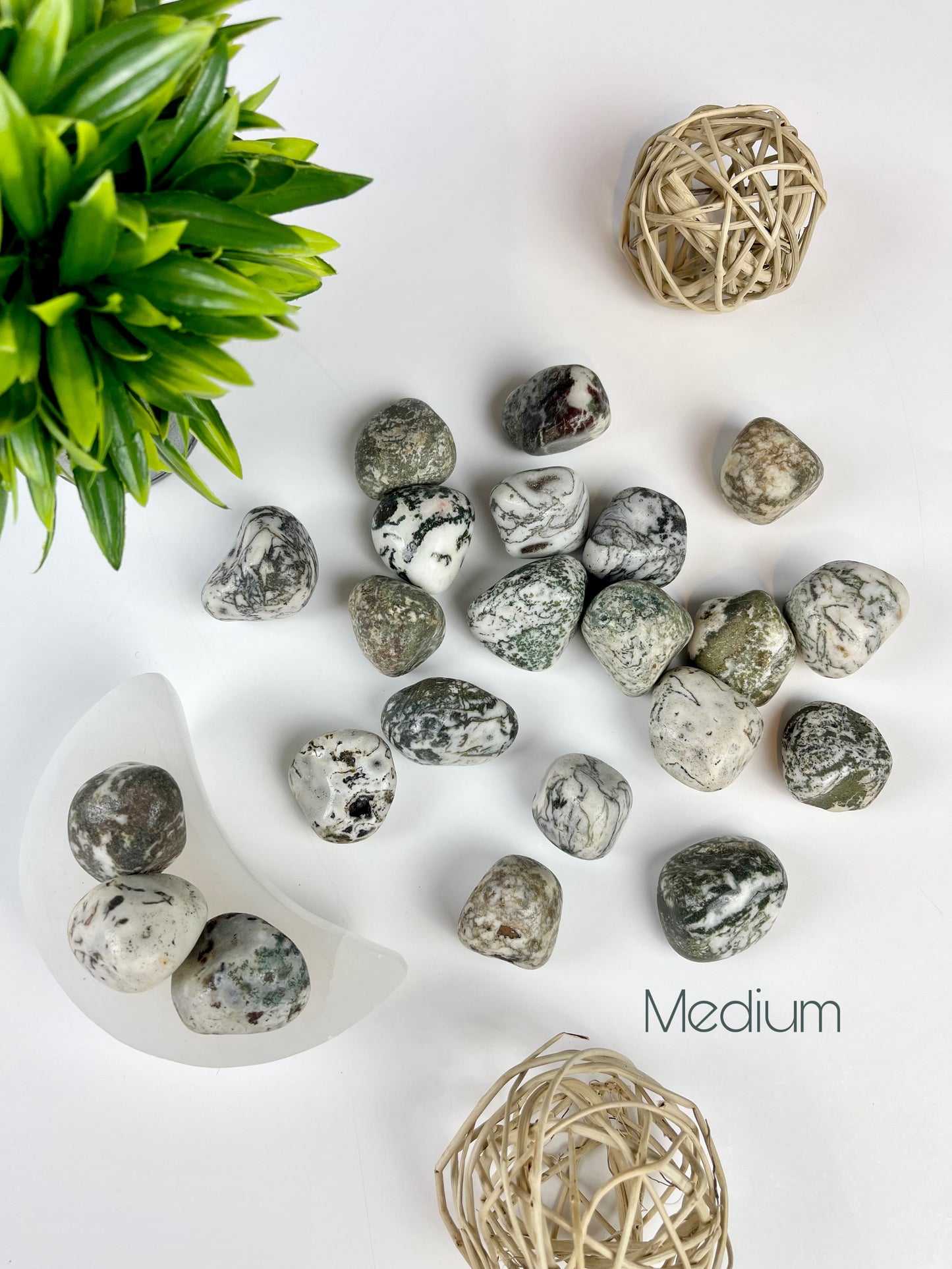 Medium Tree Agate Tumbles