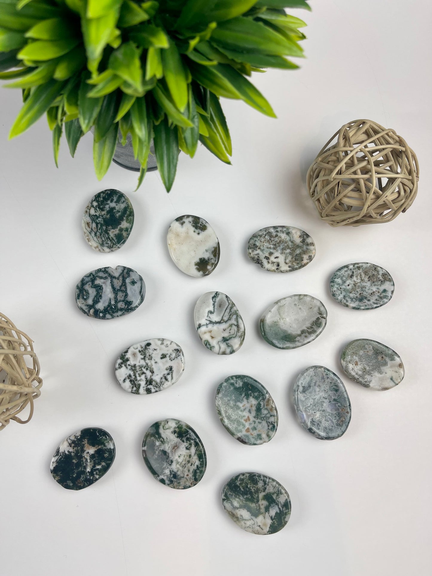 Tree Agate Worry Stones