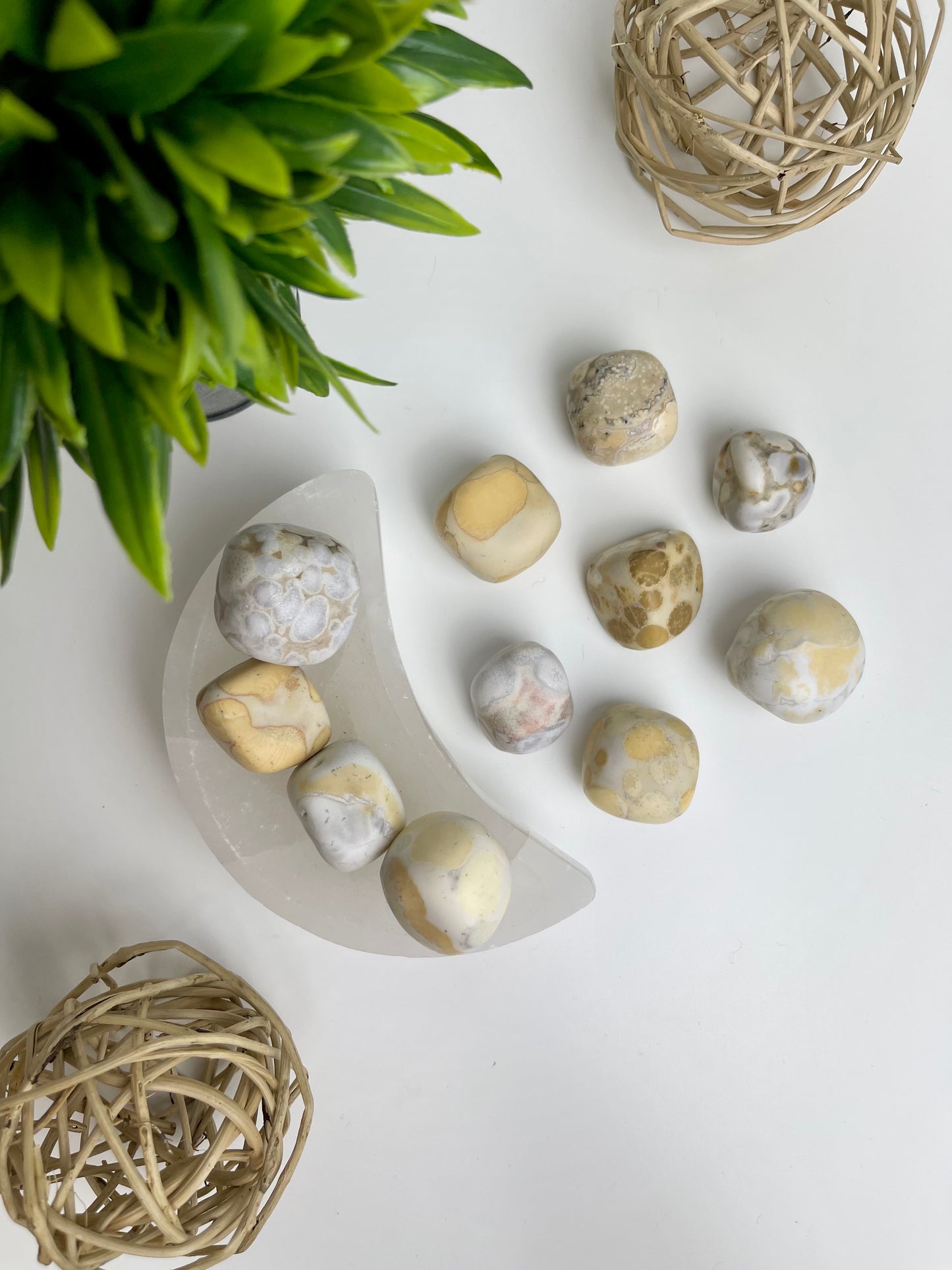 Orbicular Jasper Tumbles - Canadian Crystal Queens