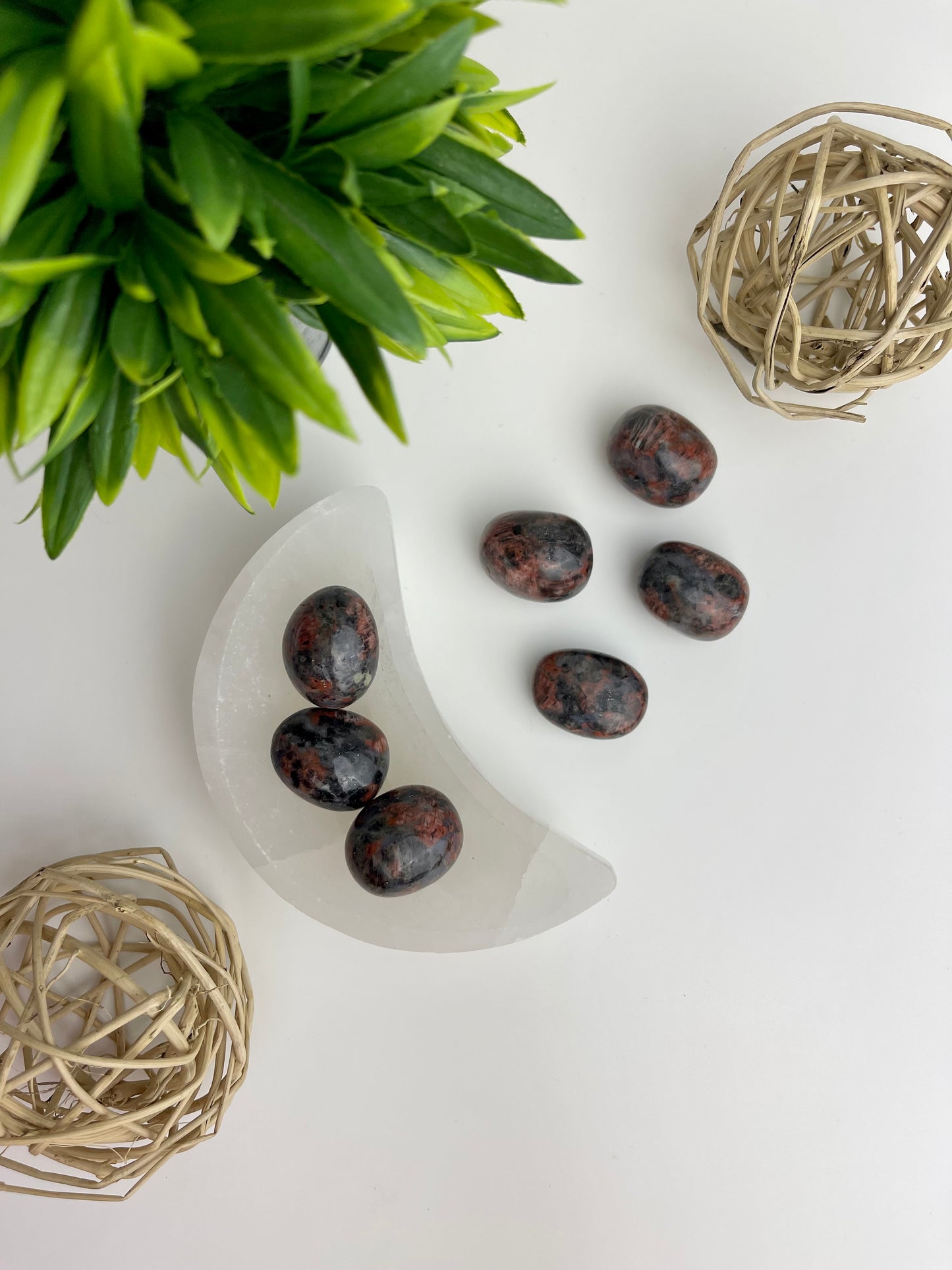 Red Que Sera Tumbles