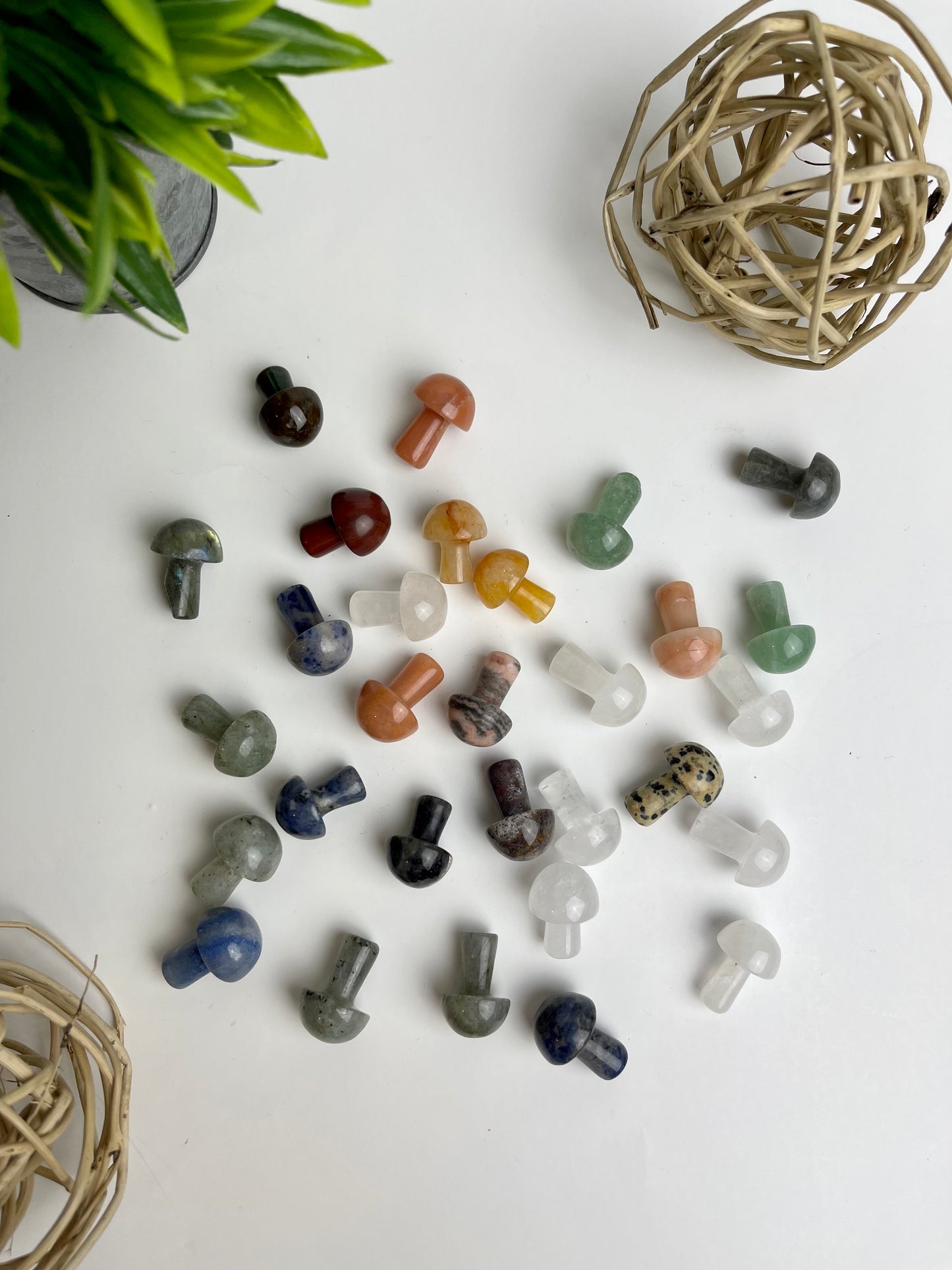 Crystal Mushrooms - Canadian Crystal Queens