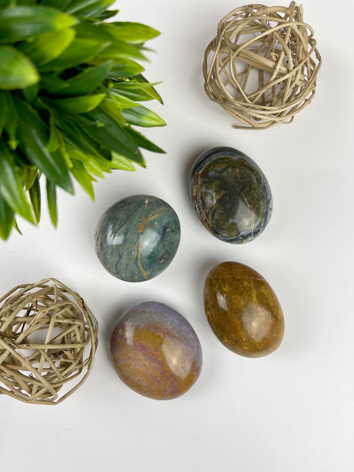 Ocean Jasper Palm Stones - Canadian Crystal Queens