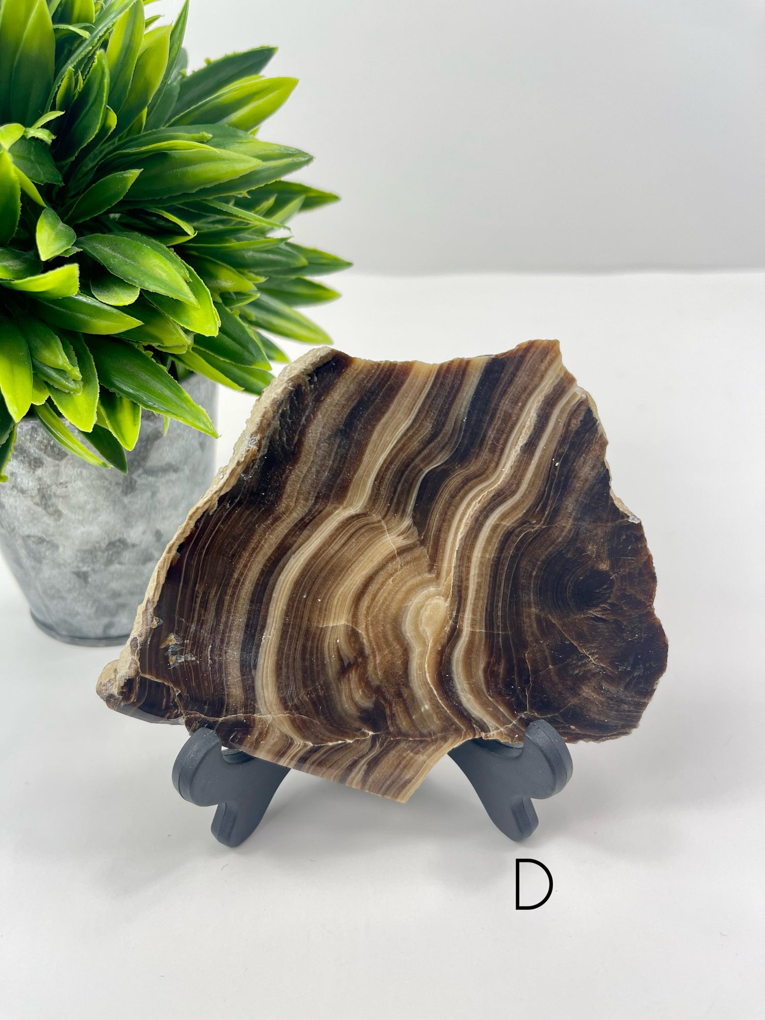 Chocolate Calcite