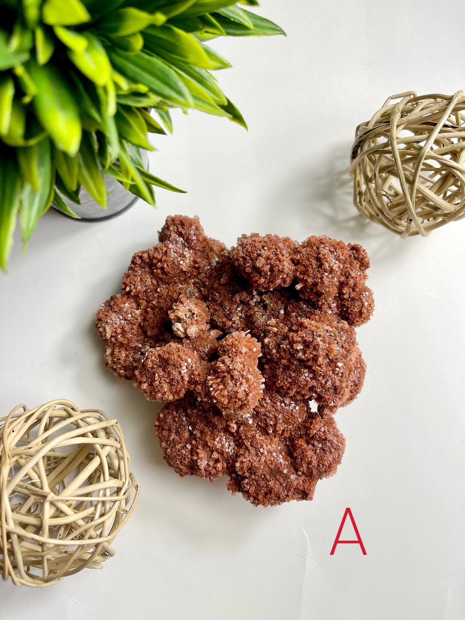 Red Aragonite
