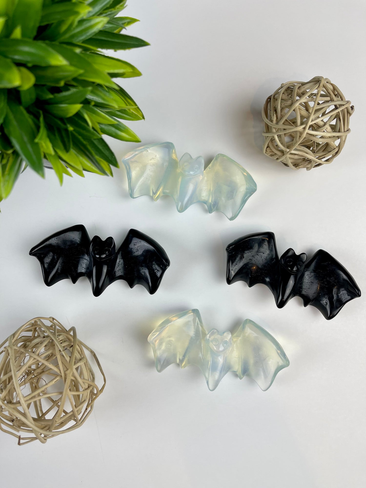 Halloween Carvings