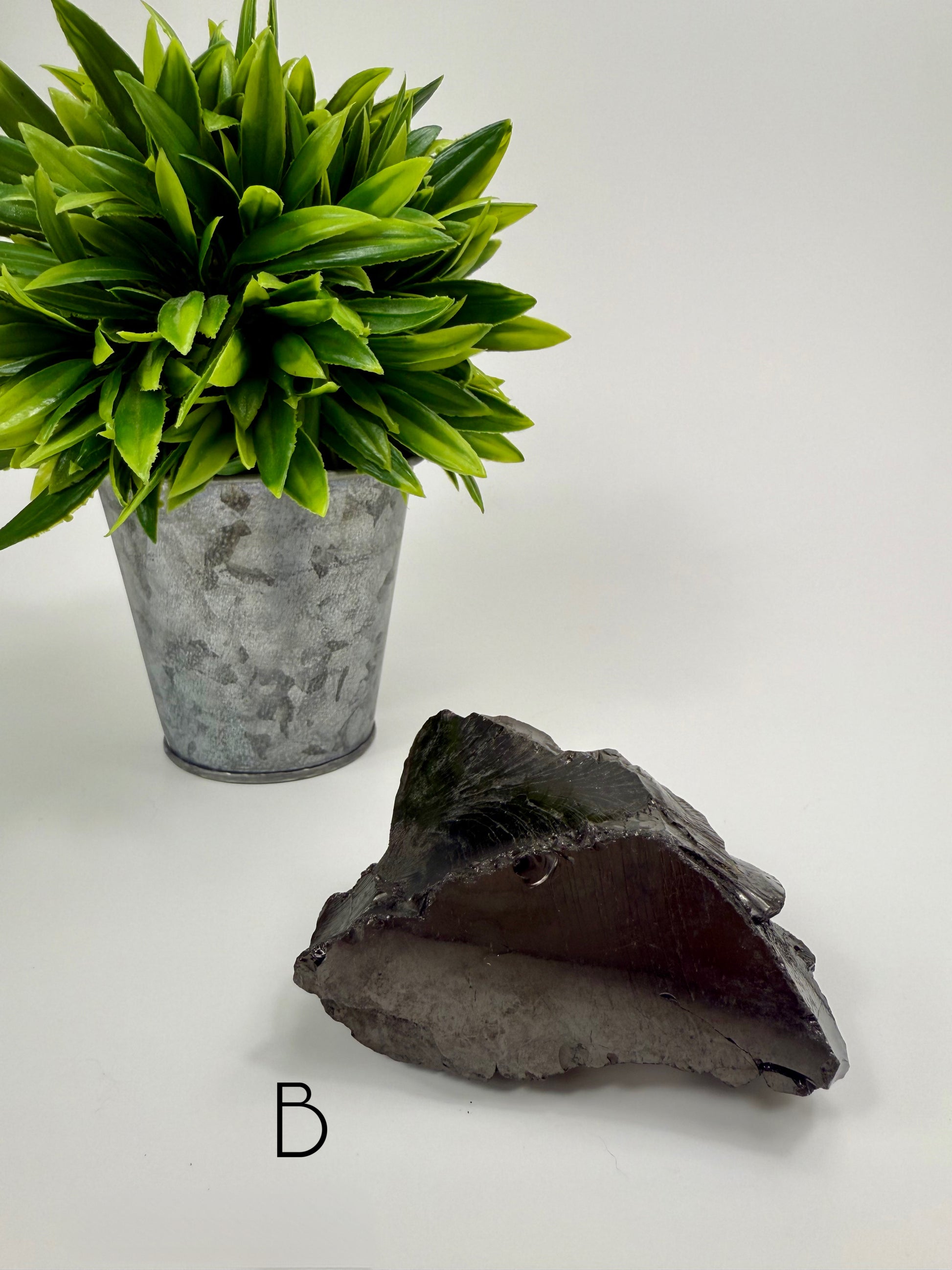 Noble Elite Shungite Raw Specimen - B