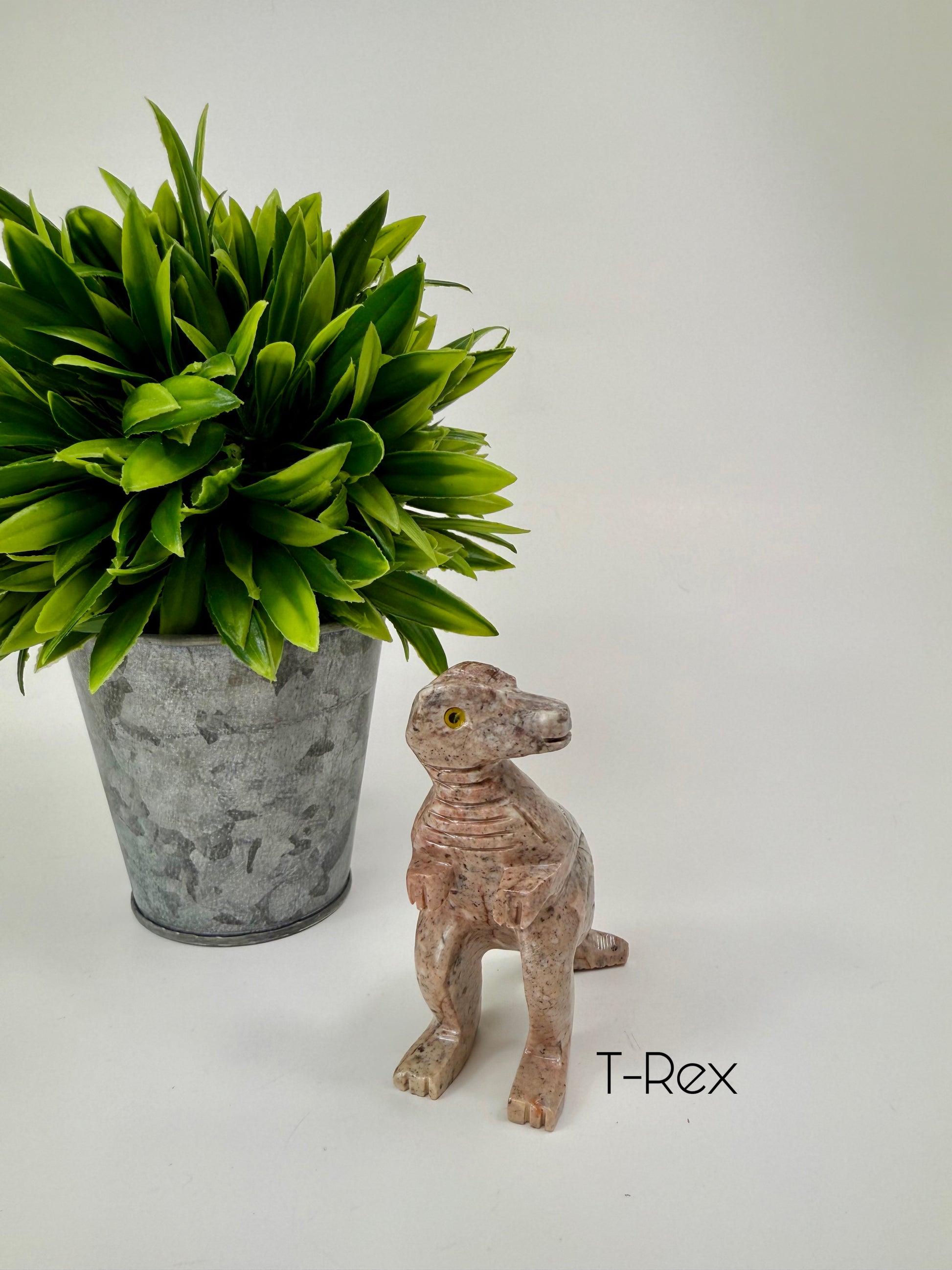 T-Rex Soapstone Carvings