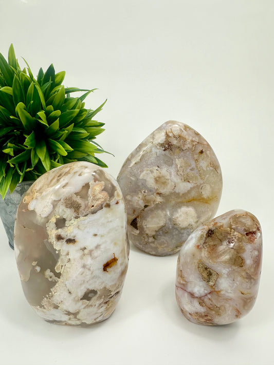 Flower Agate Polished Freeforms