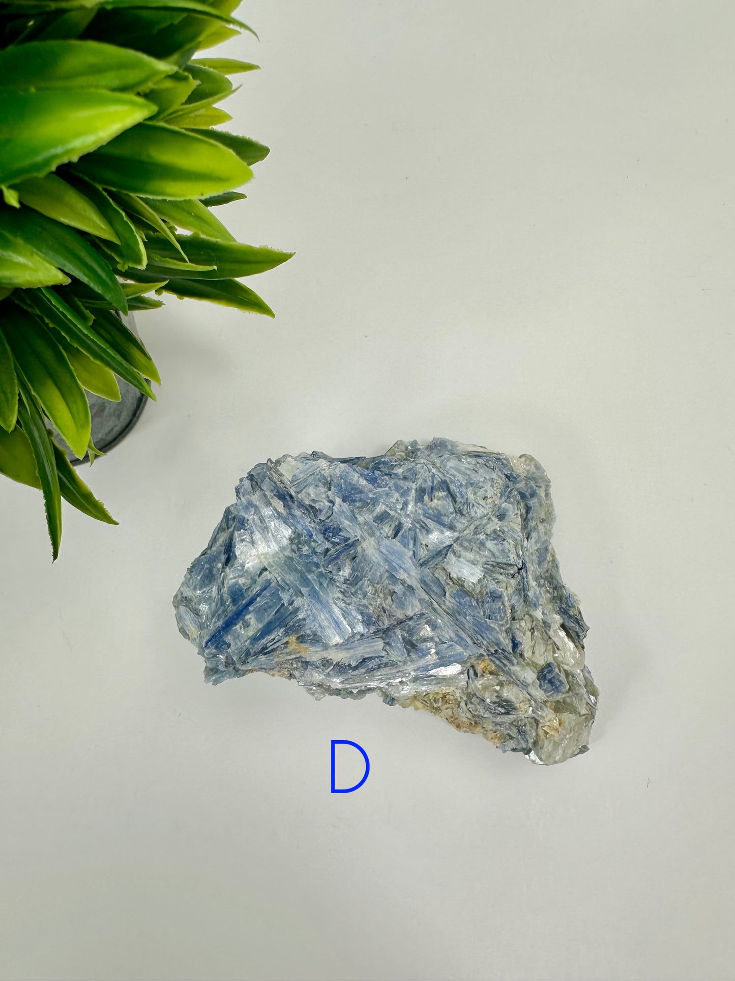 Blue Kyanite Raw Specimen - D