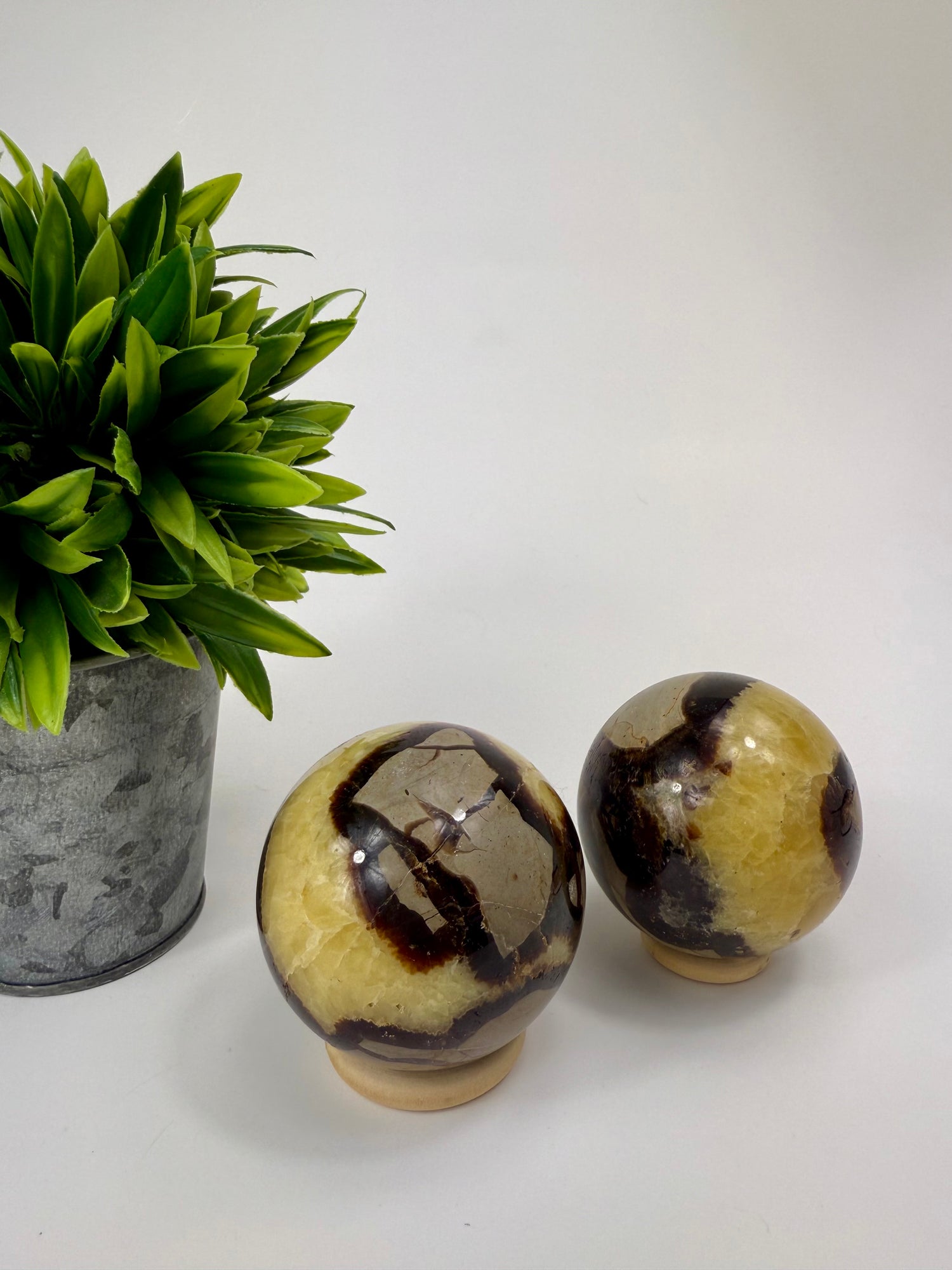 Septarian Spheres