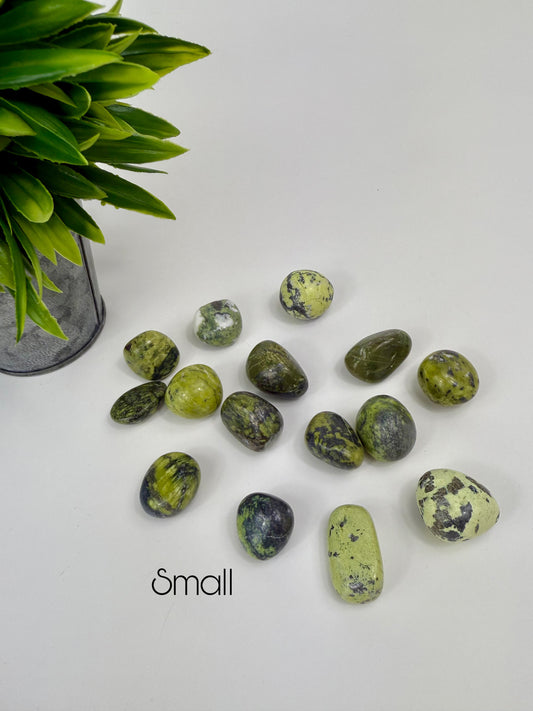 Serpentine & Pyrite Tumbles - Small