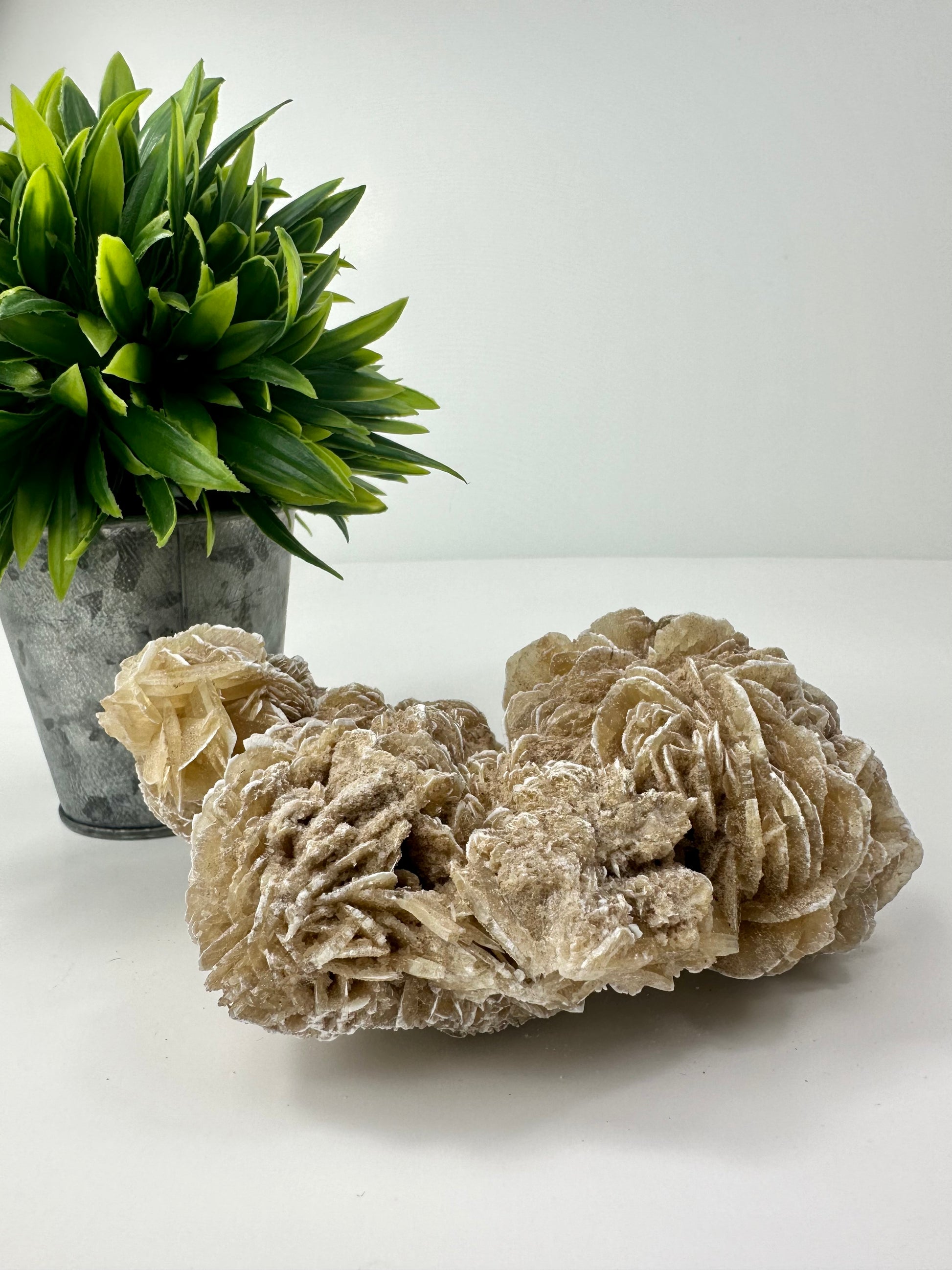 Desert Rose Raw Specimen