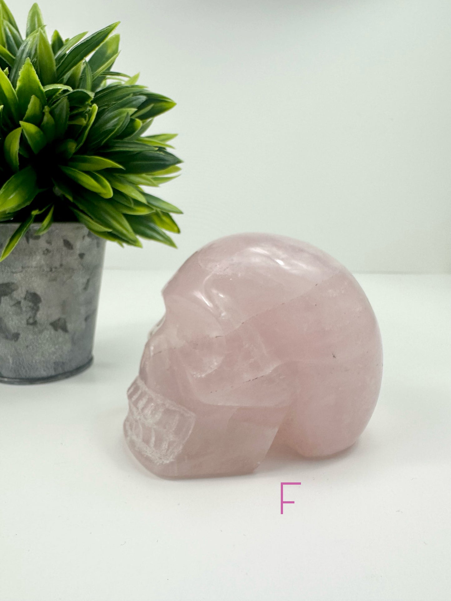 Rose Quartz Skull F