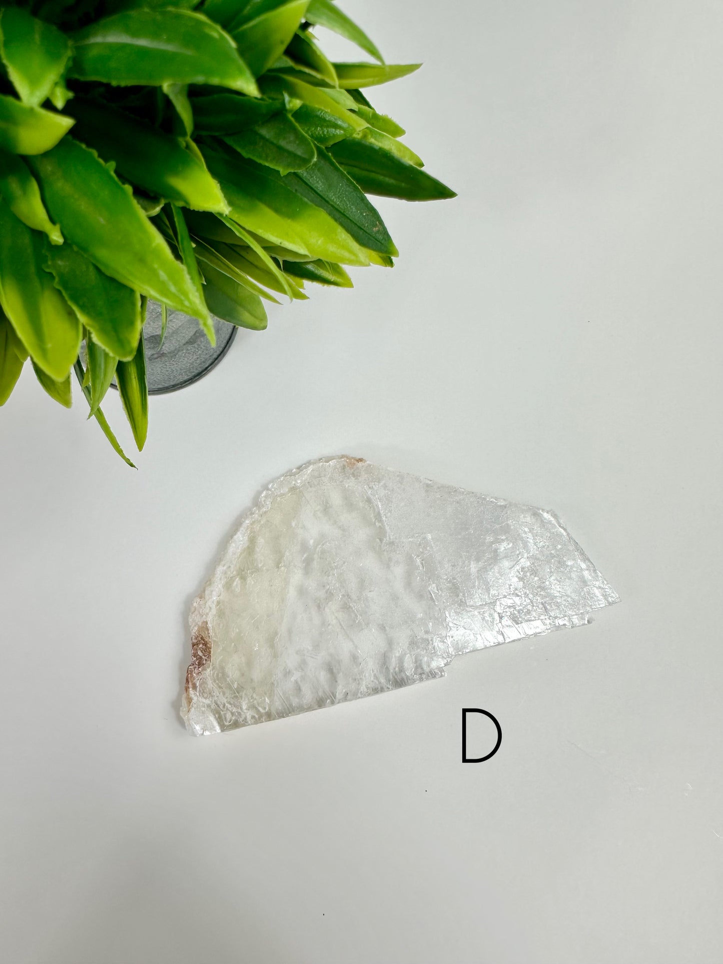 Golden Phantom Healer Selenite Raw Specimen - D