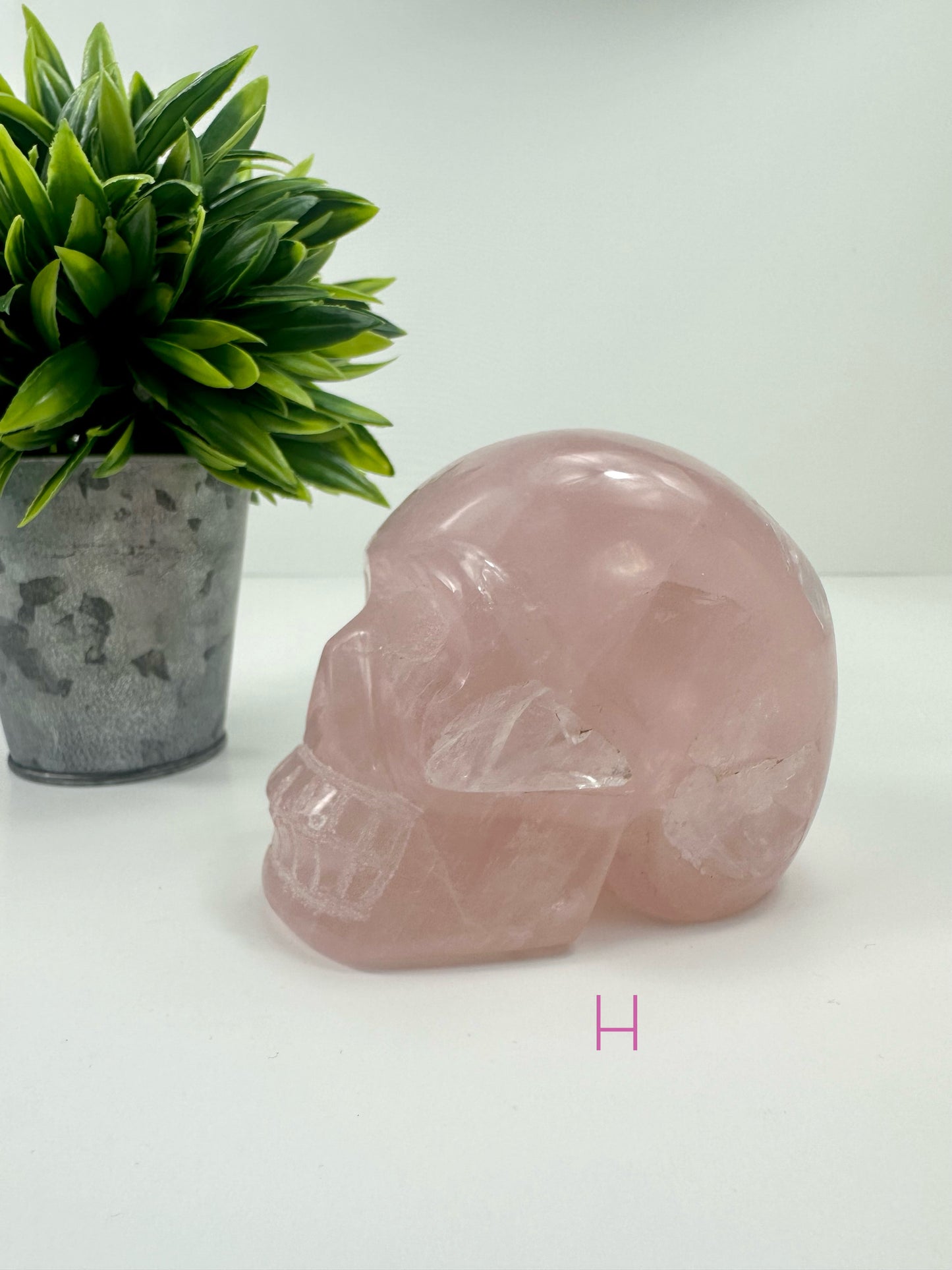 Rose Quartz Skull H