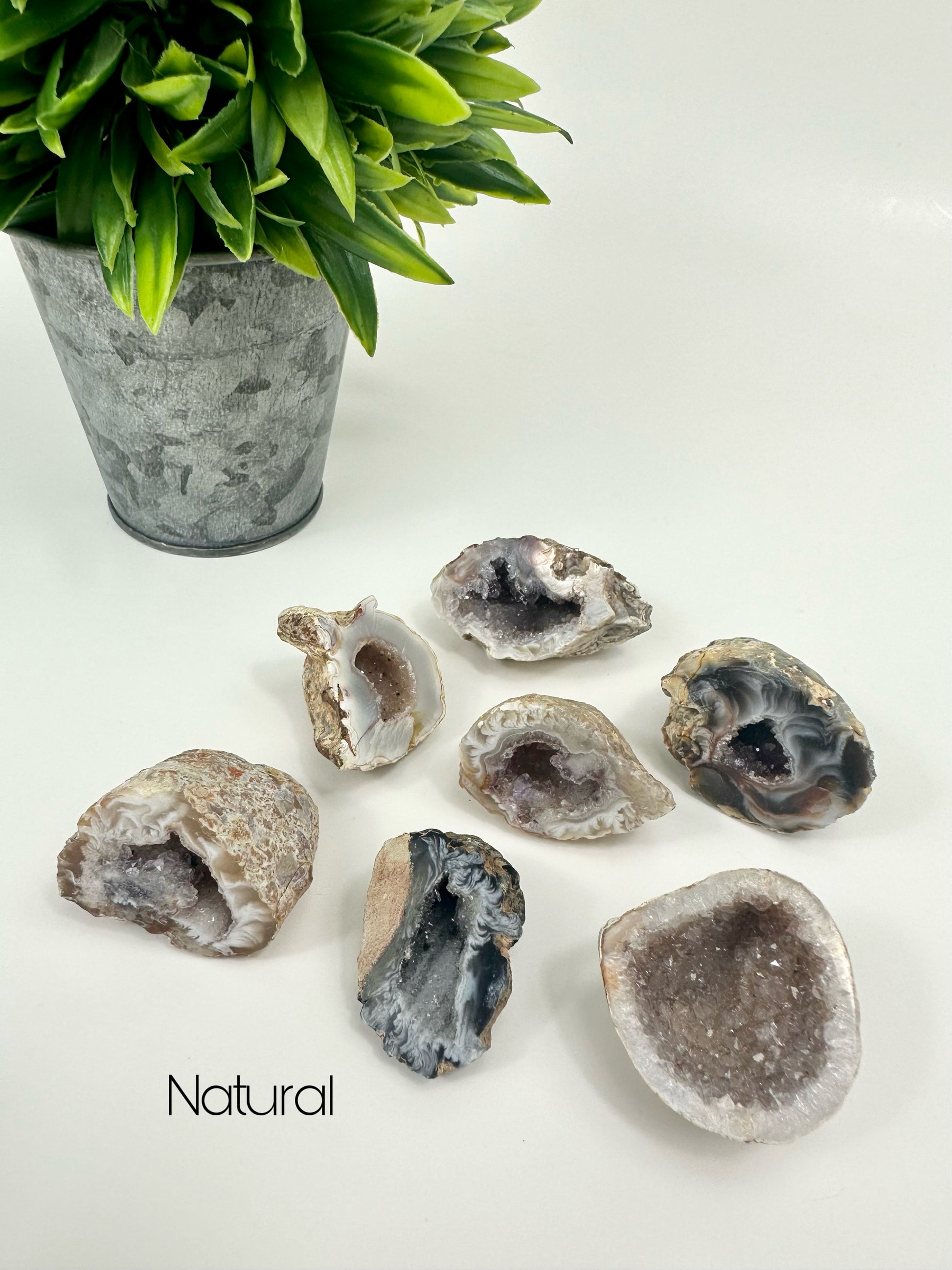 Agate Geodes - Natural
