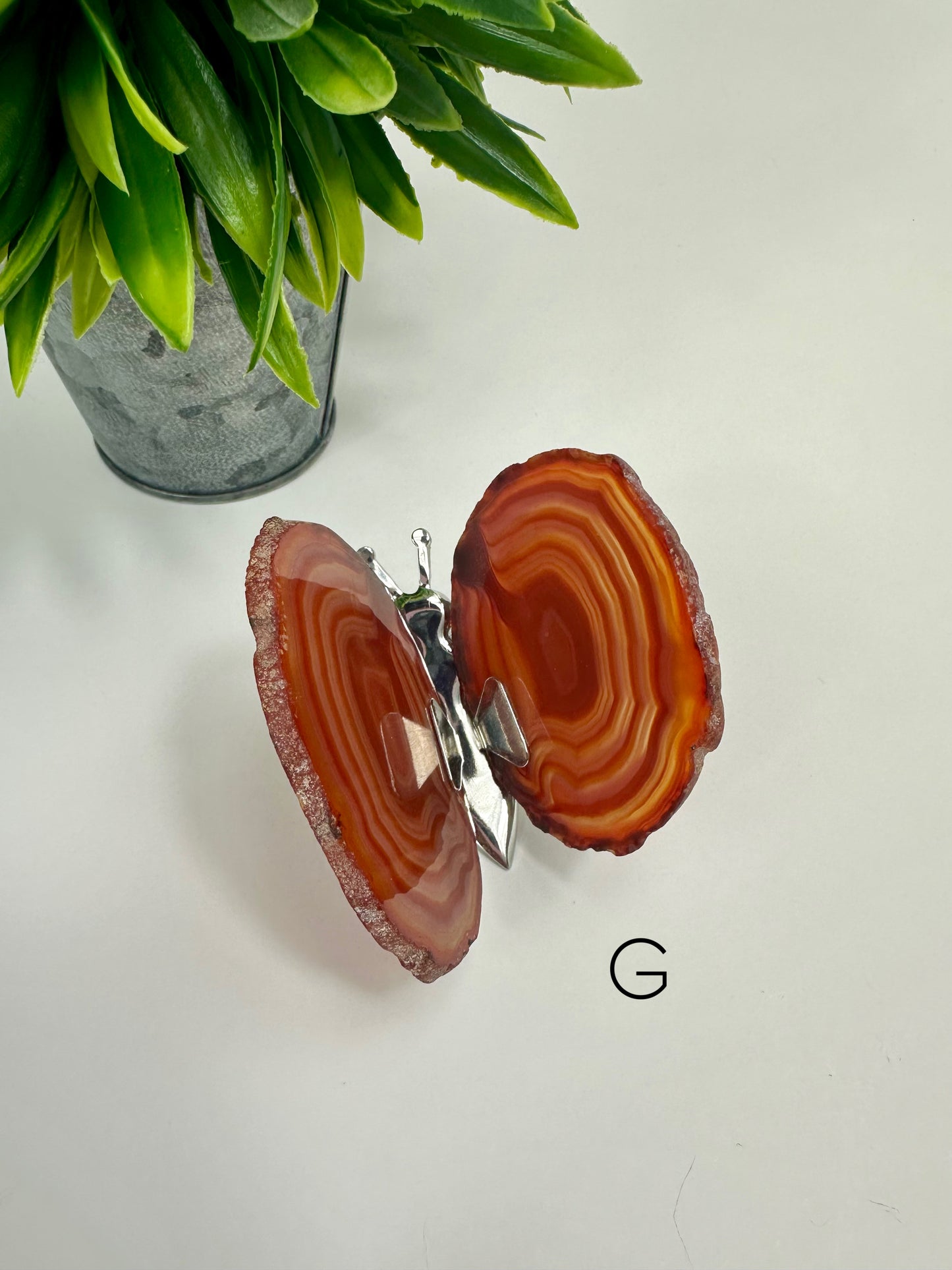 Agate Butterfly G