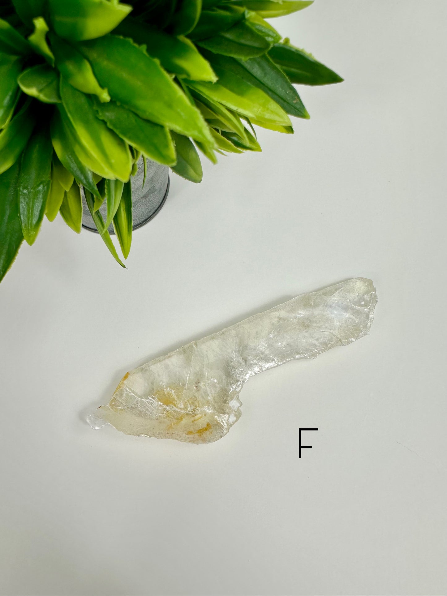 Golden Phantom Healer Selenite Raw Specimen - F
