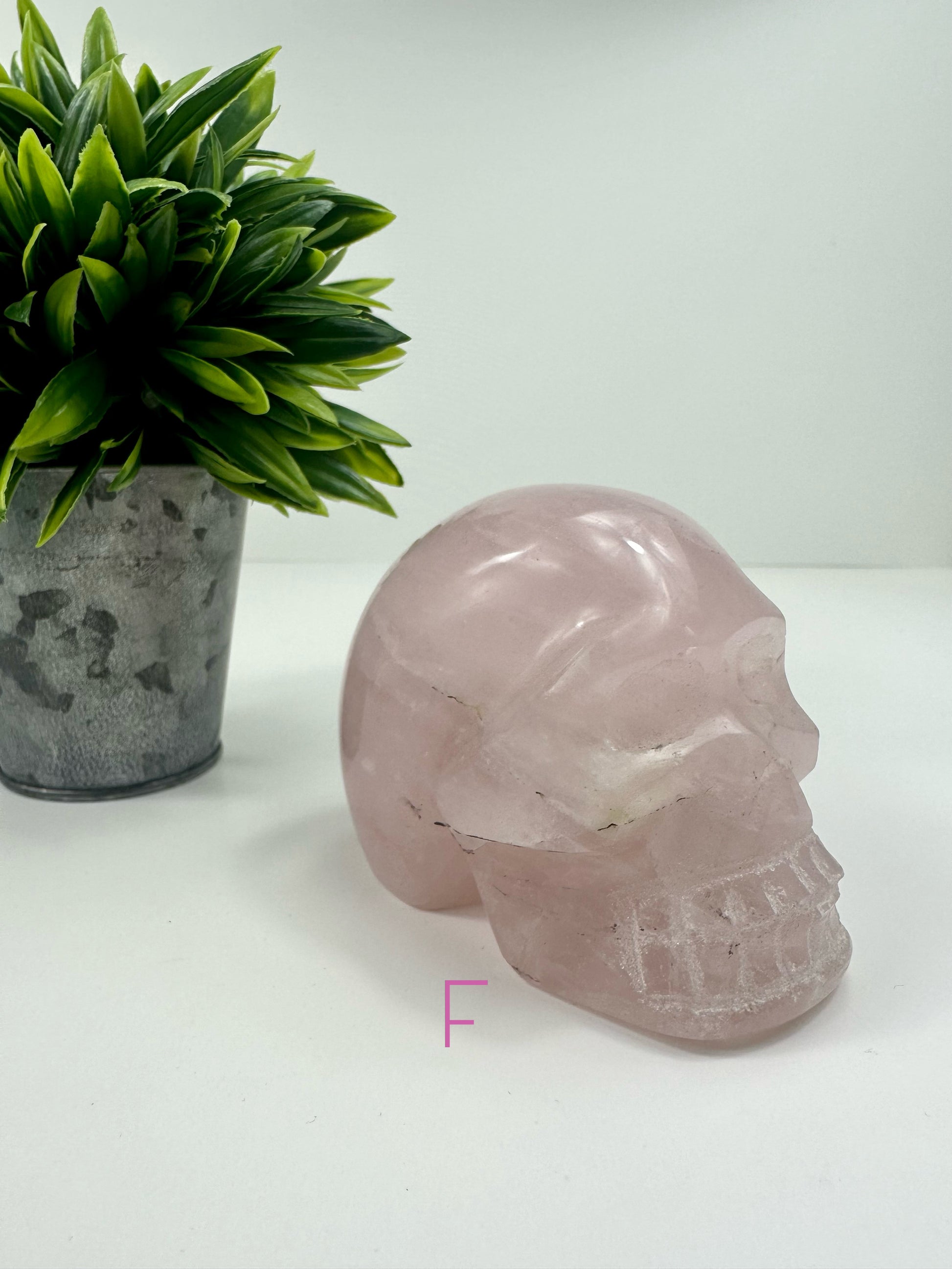 Rose Quartz Skull F