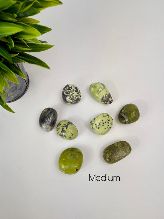 Serpentine & Pyrite Tumbles - Medium