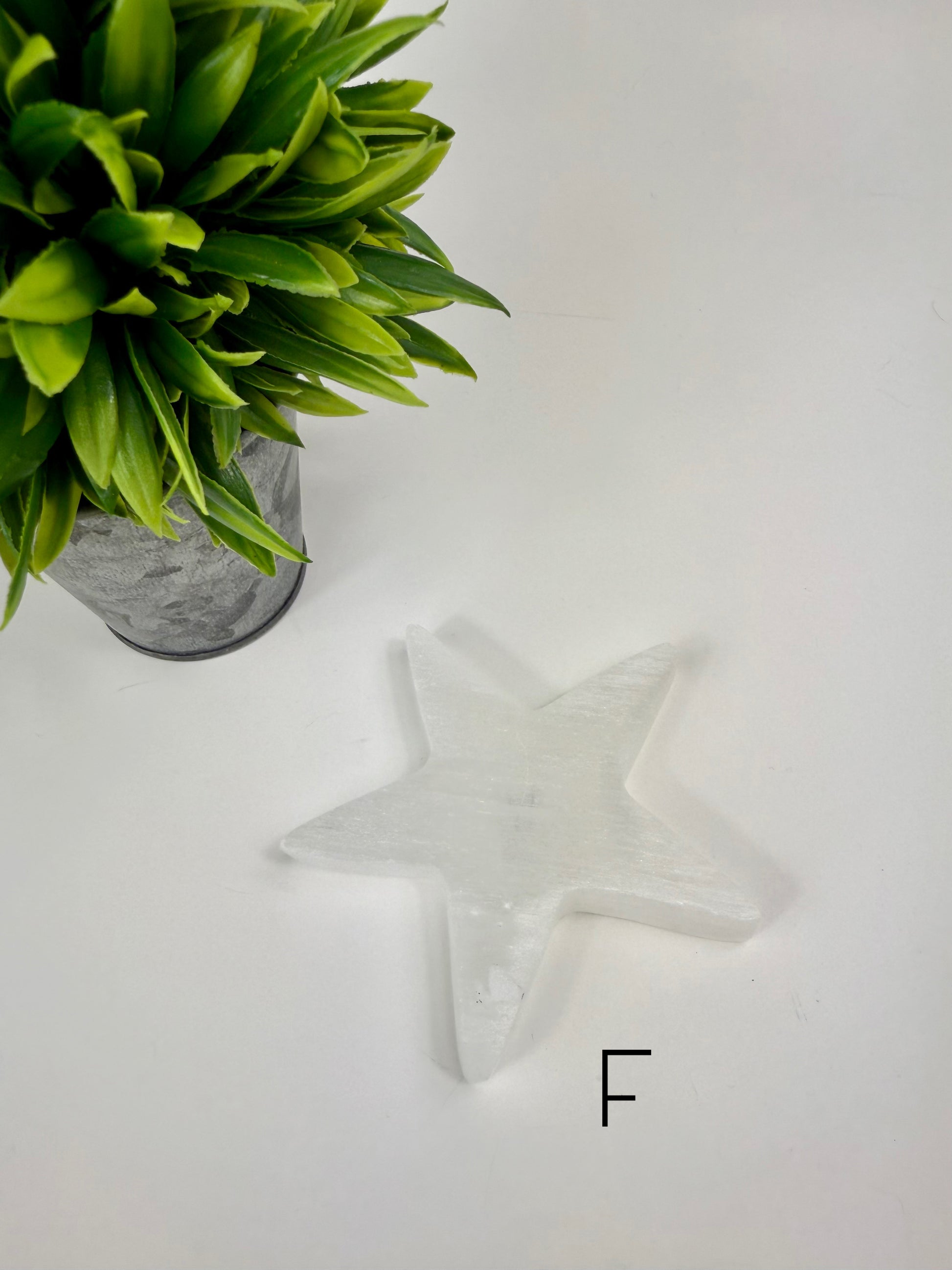 Selenite Charging Plate - F