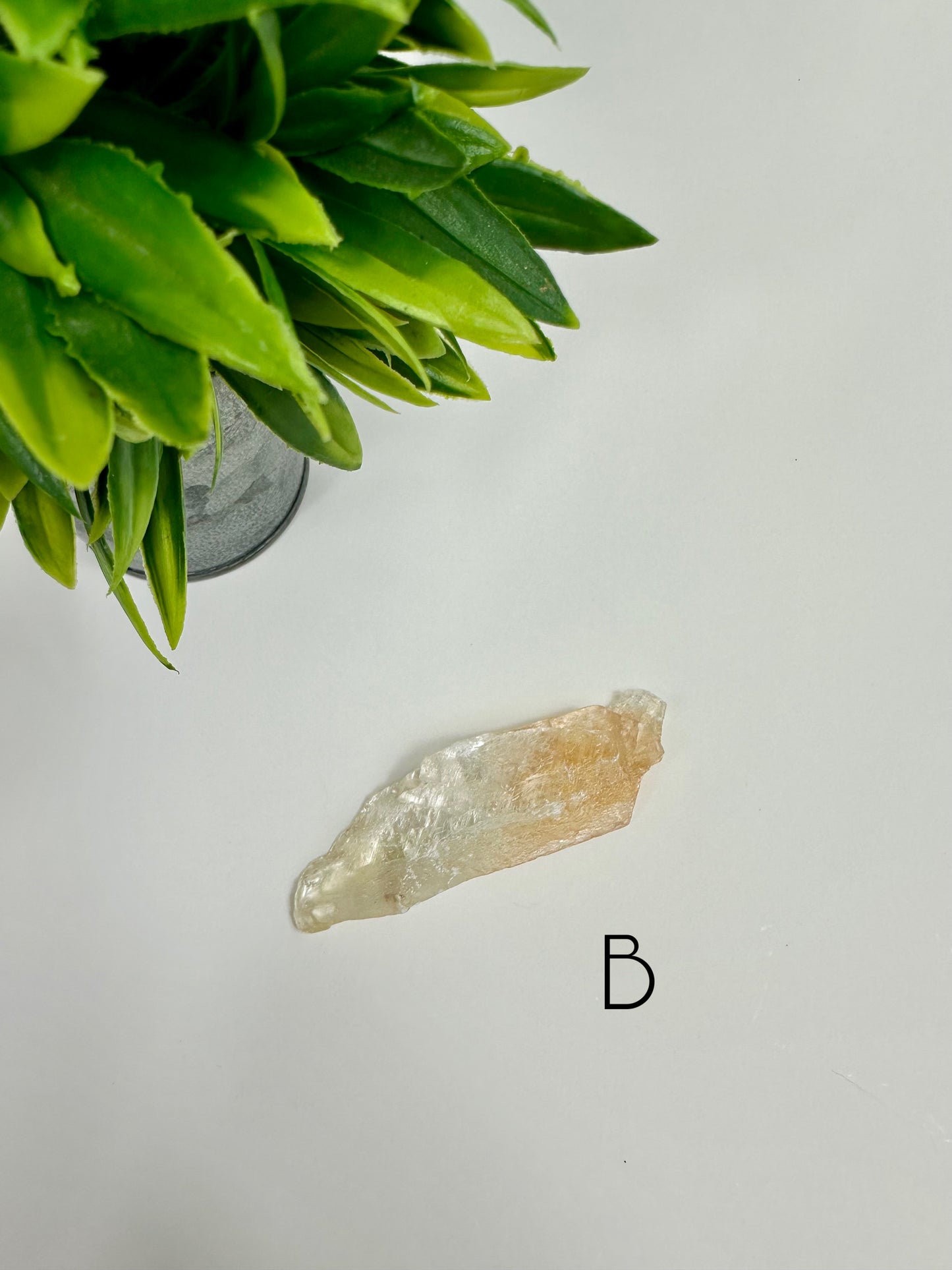 Golden Phantom Healer Selenite Raw Specimen - B