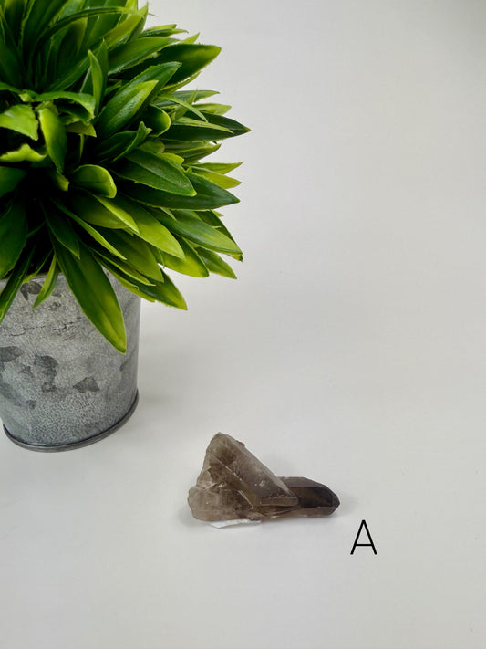Smokey Quartz Raw Cluster - A