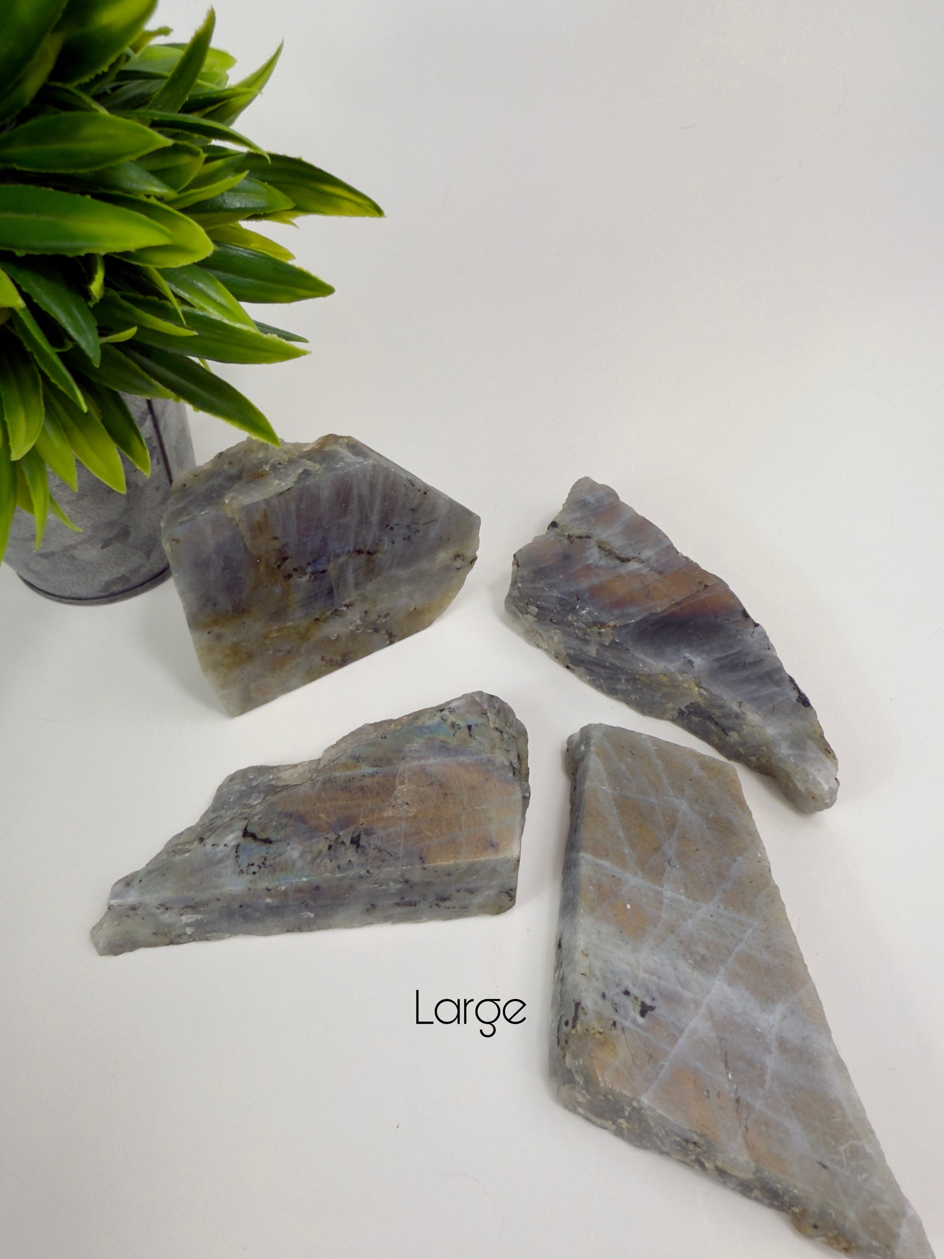 Sunset Labradorite Raw/Polished Slabs - Large