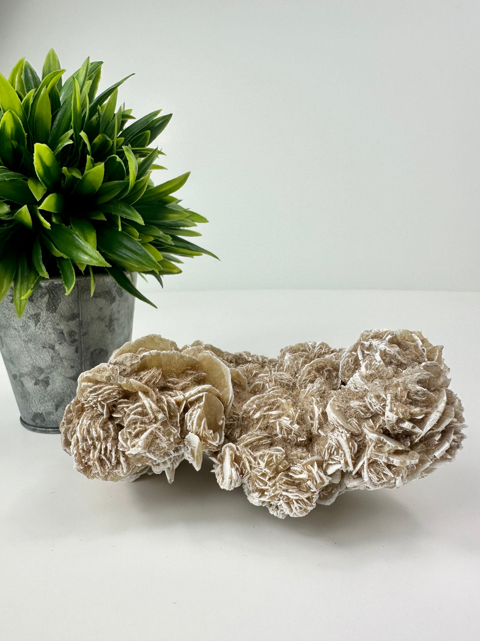 Desert Rose Raw Specimen