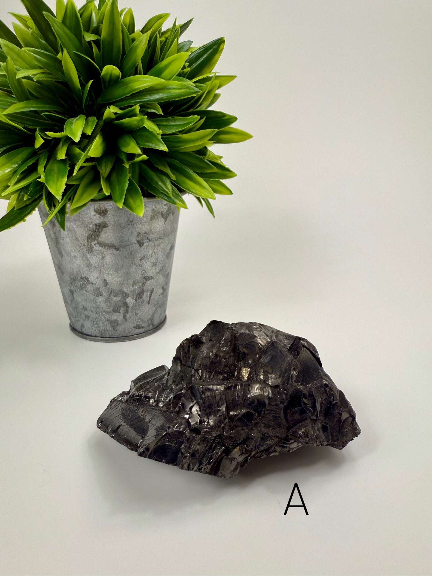 Noble Elite Shungite Raw Specimen - A