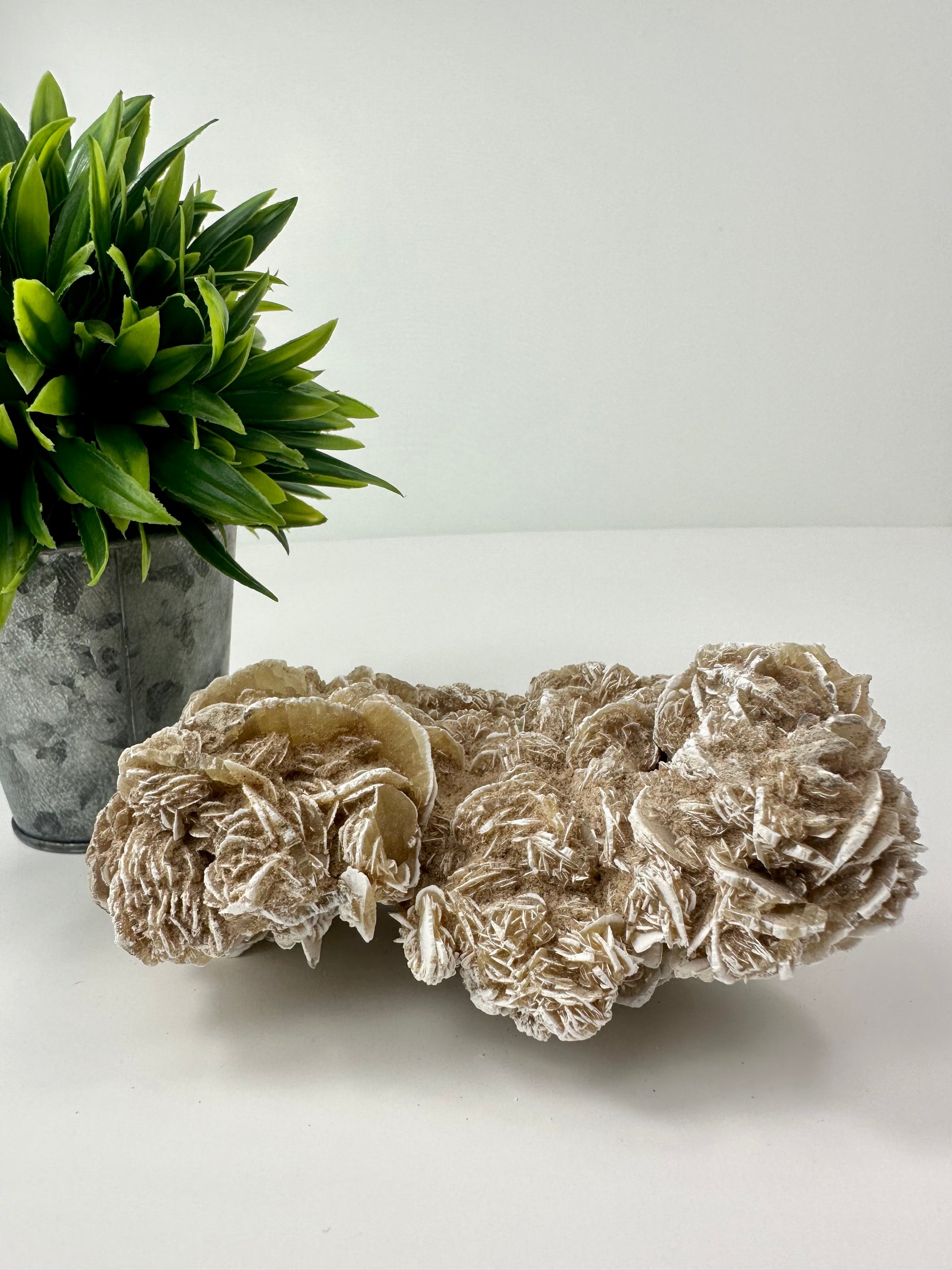 Desert Rose Raw Specimen