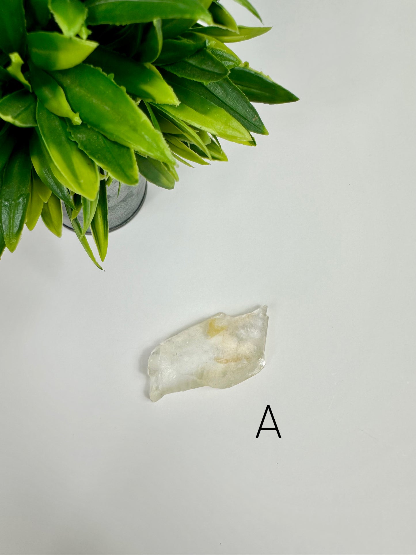 Golden Phantom Healer Selenite Raw Specimen - A