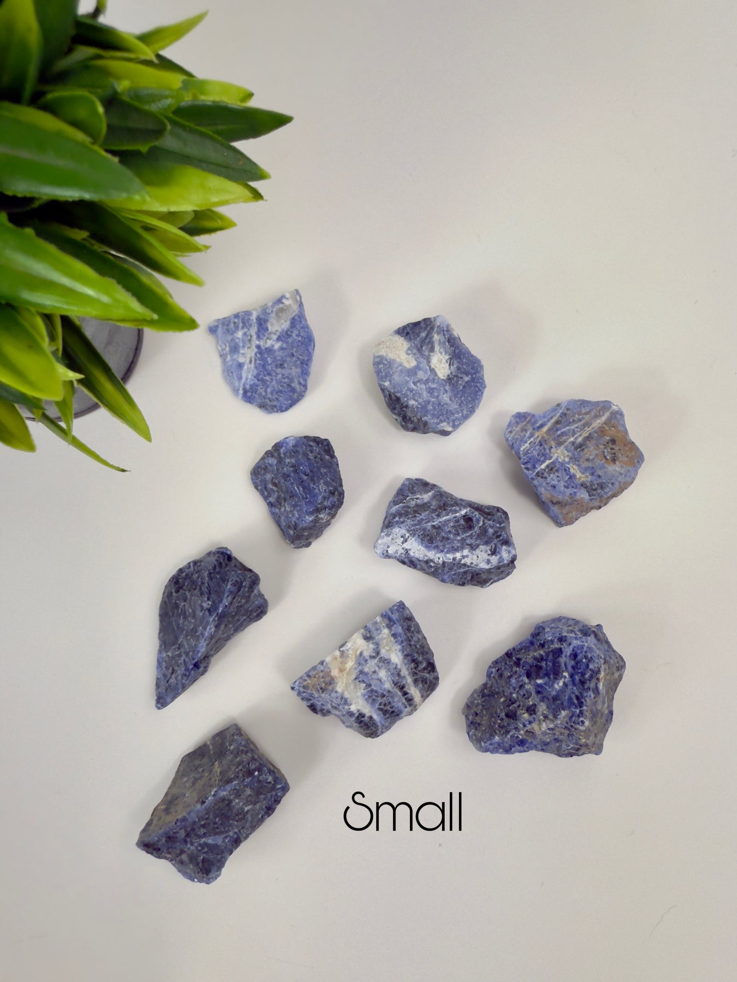 Sodalite Raw Pieces - Small