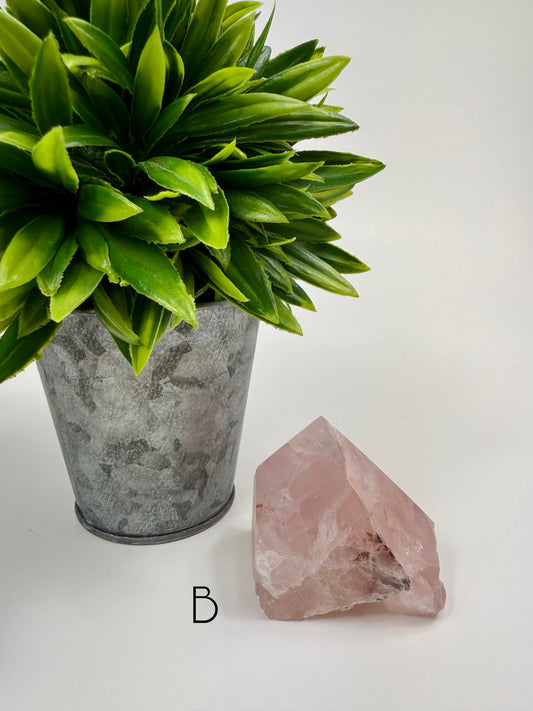 Rose Quartz Raw/Polished Point - B