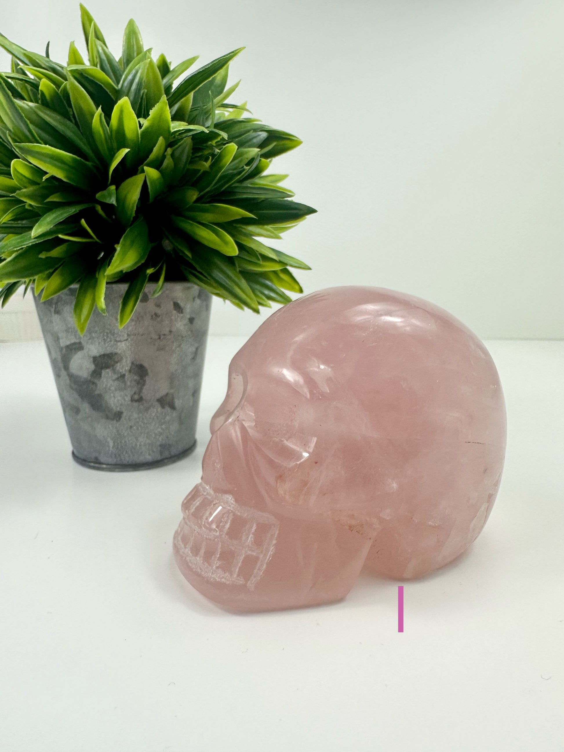 Rose Quartz Skull I