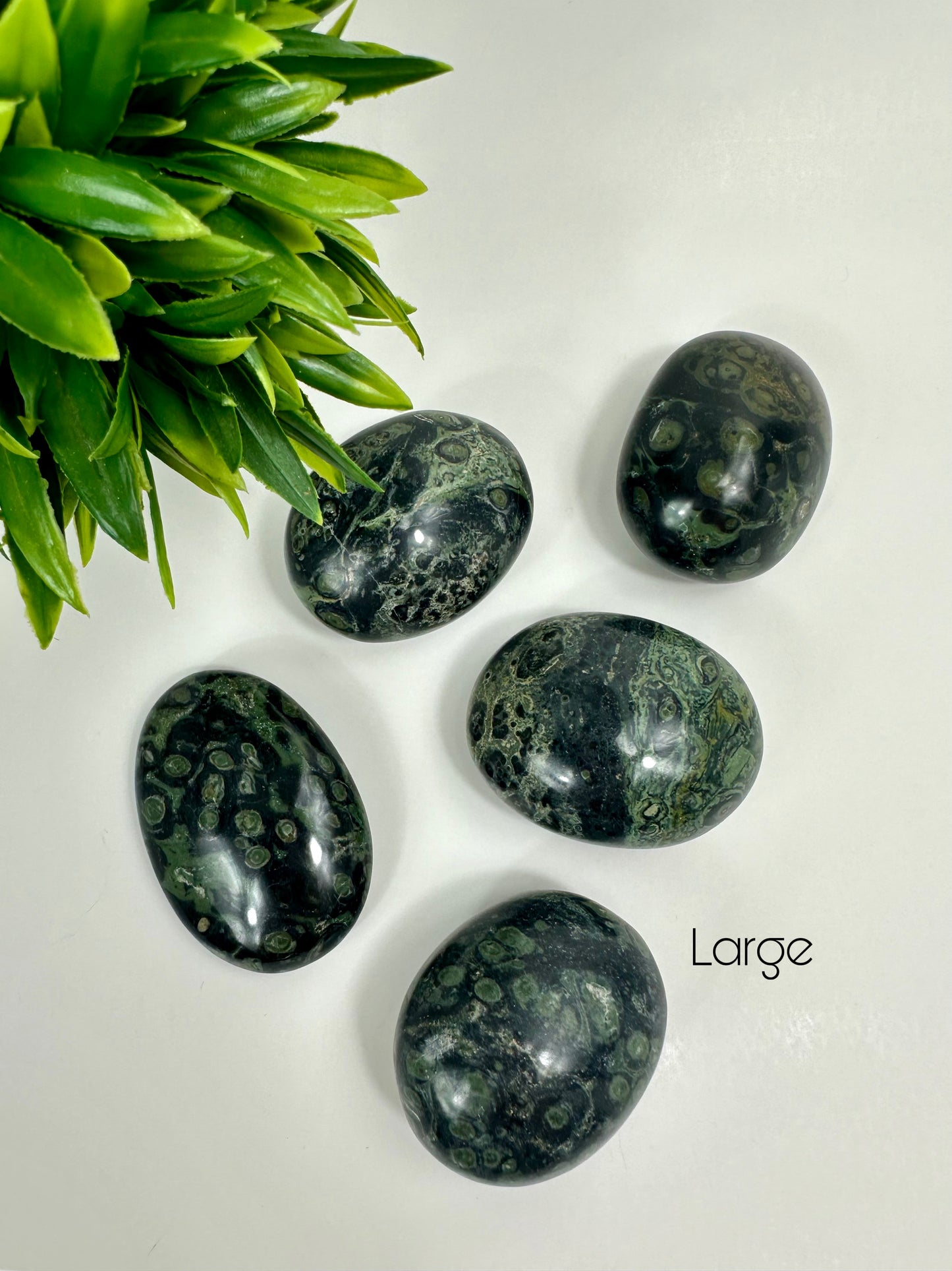 Large Kambaba Jasper Palm Stones