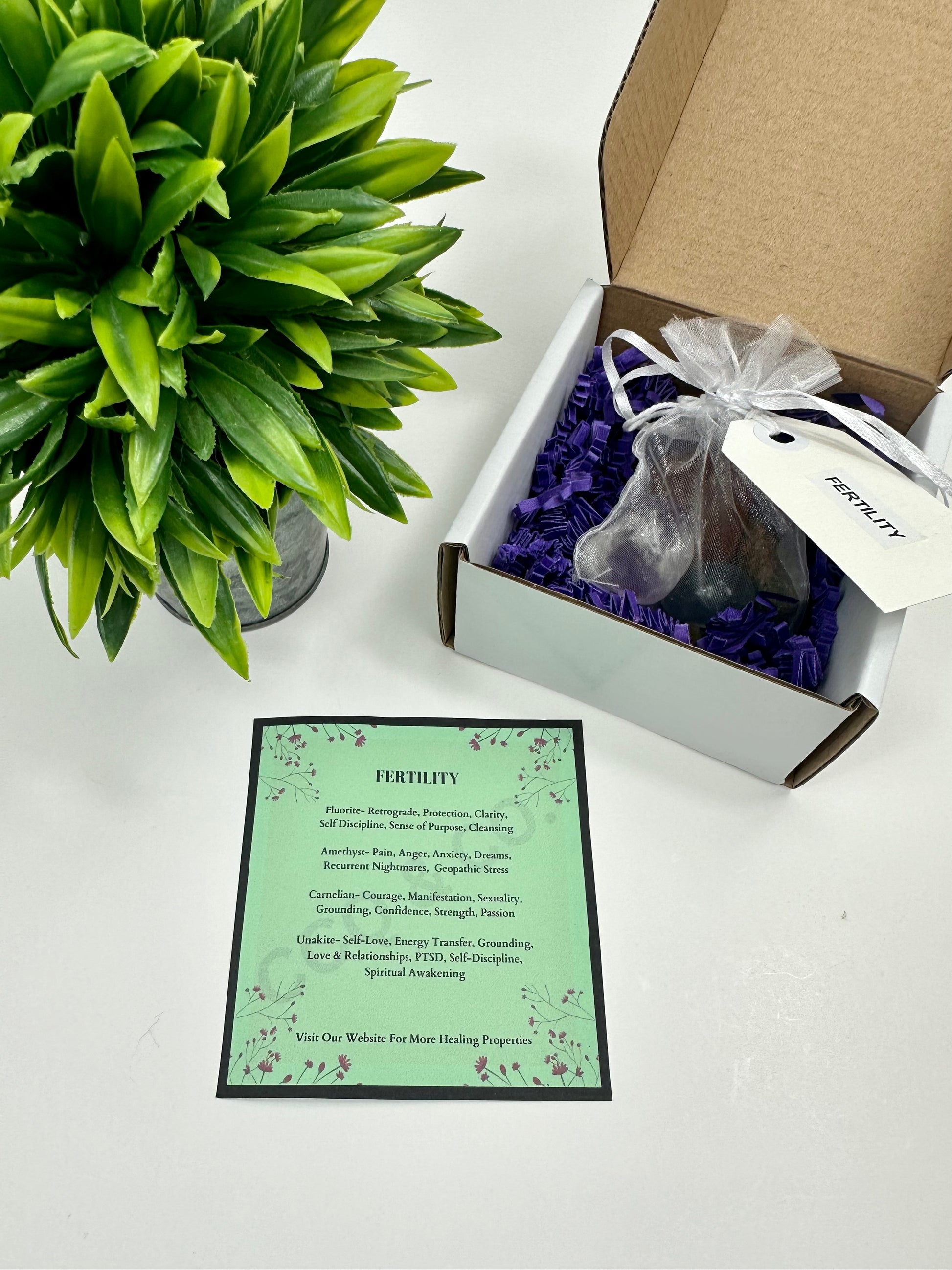 Fertility Starter Kits