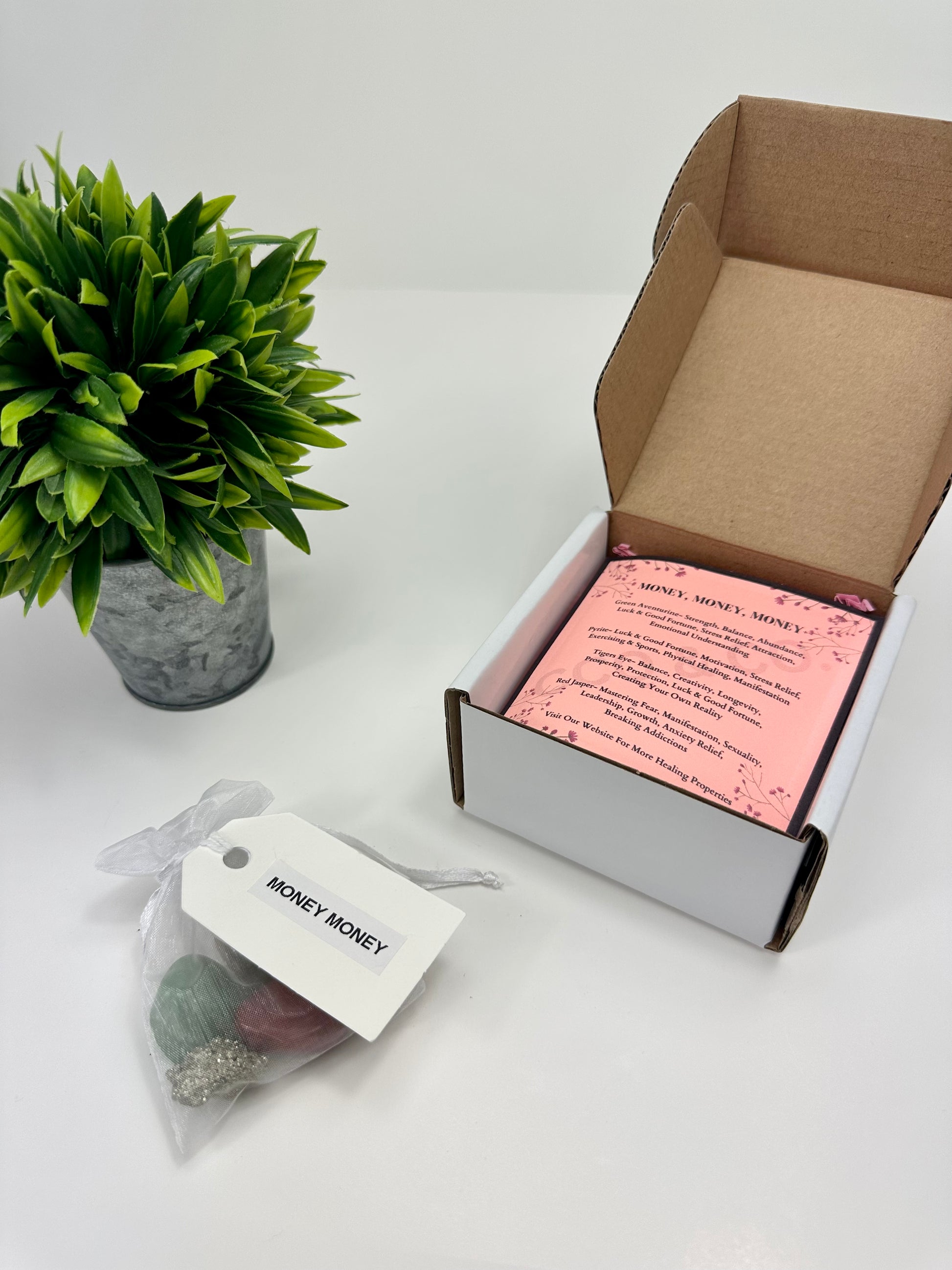 Money Money Starter Kits