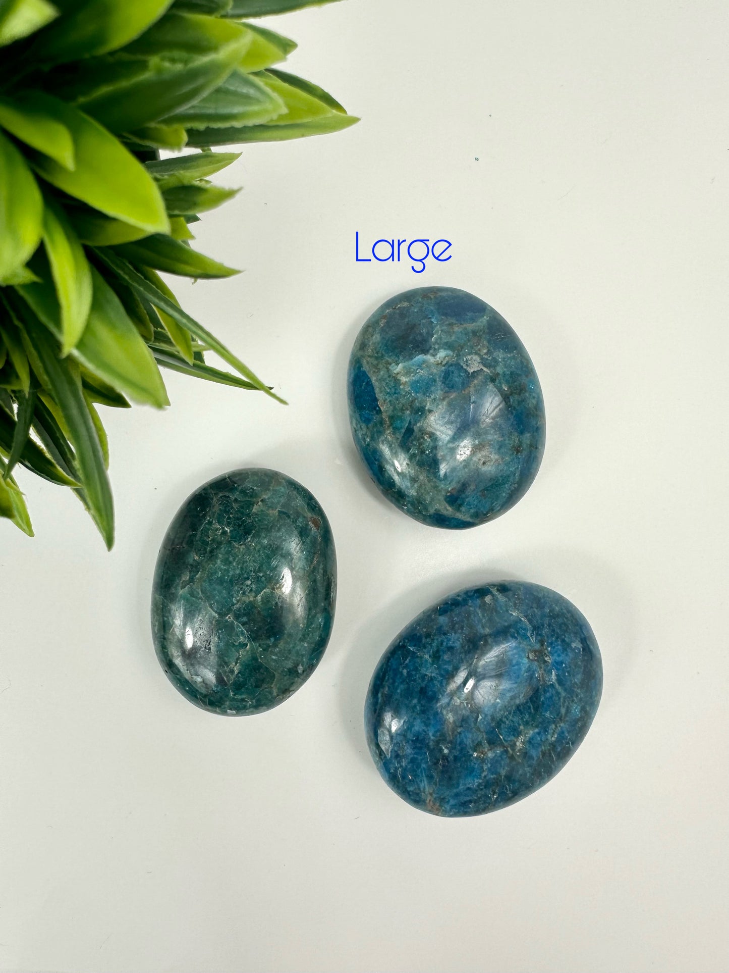Large Blue Apatite Palm Stones