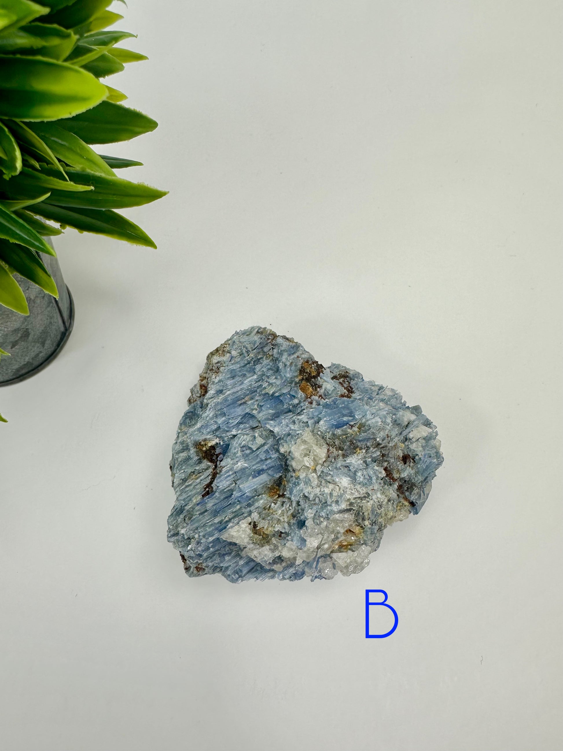 Blue Kyanite Raw Specimen - B