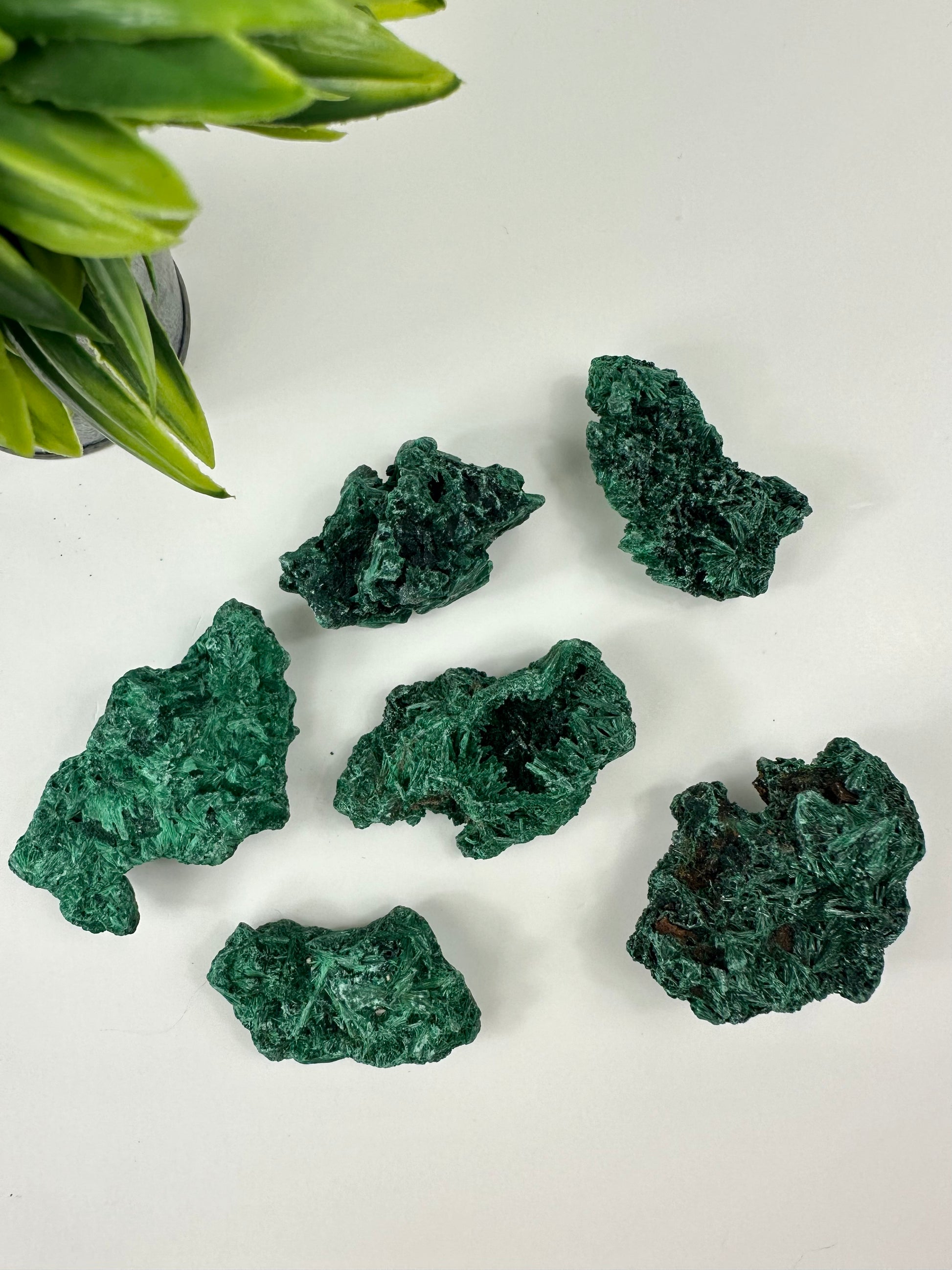 Malachite Raw Specimens
