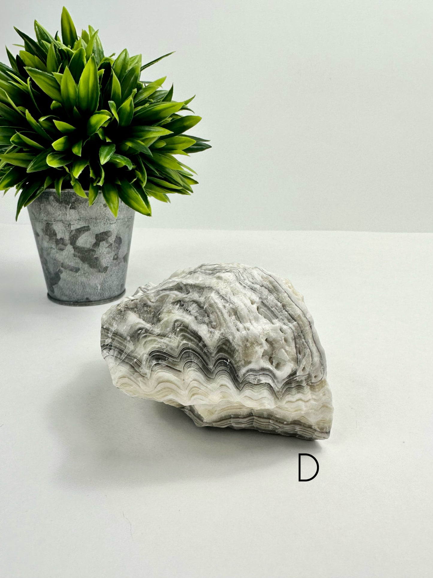 Zebra Calcite Raw Specimen D