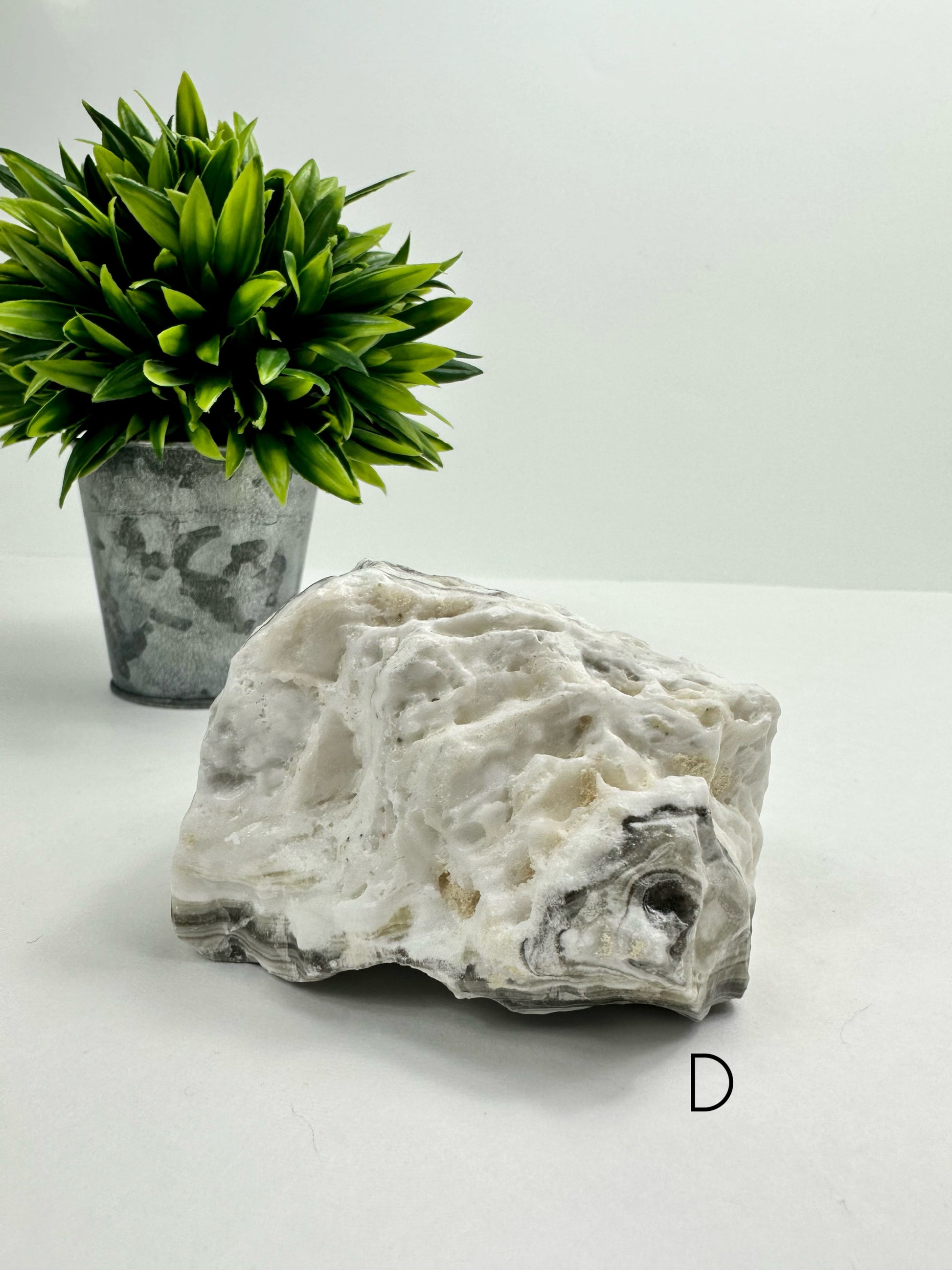 Zebra Calcite Raw Specimen D