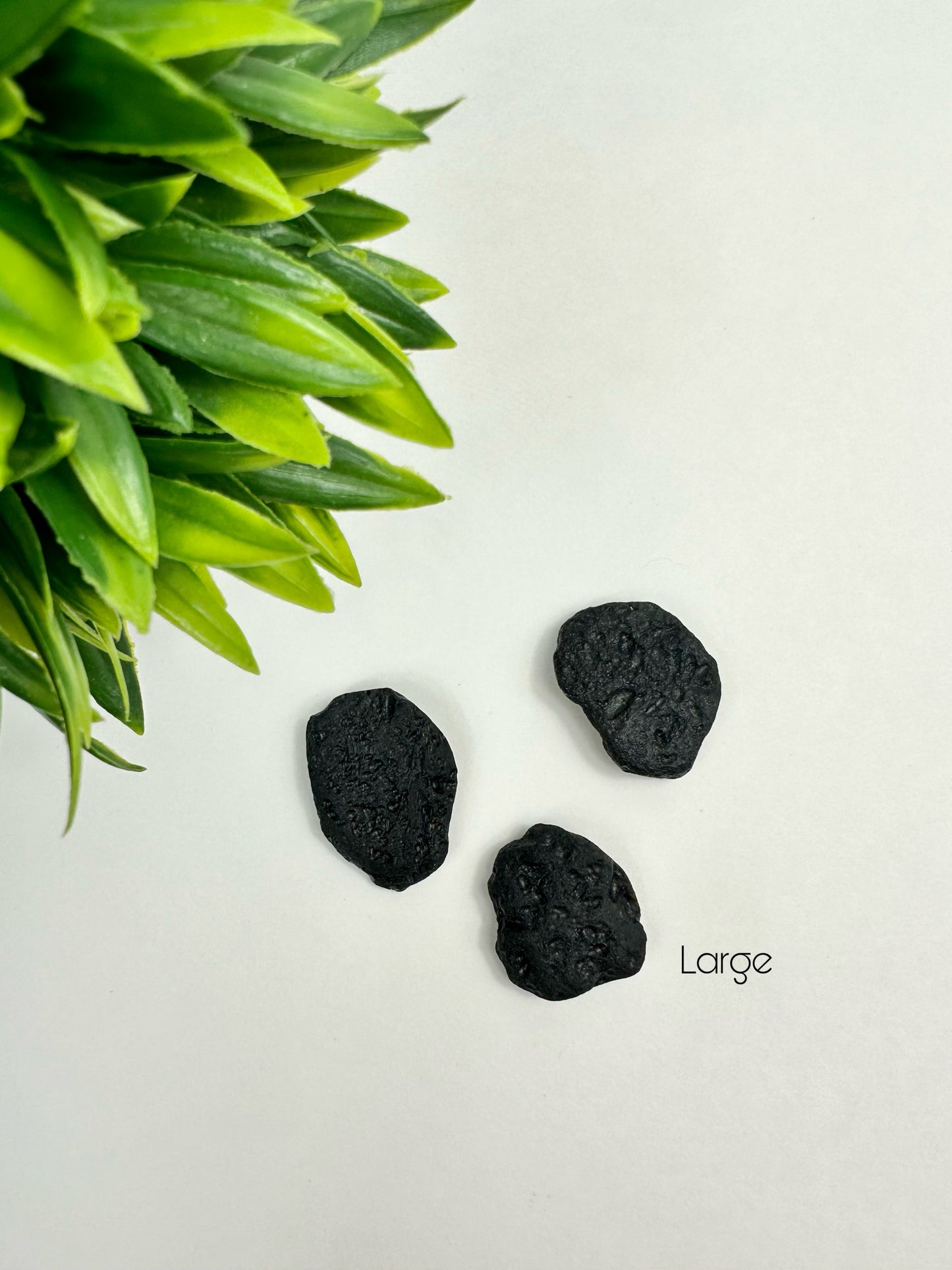 Large Tektite Raw Pieces